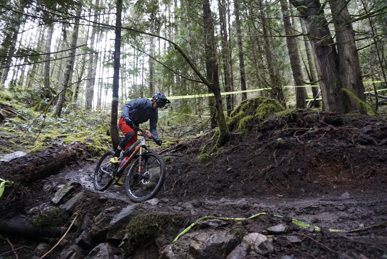 THIS is why I love Vancouver Island. Amazing trails, and epic forests. 