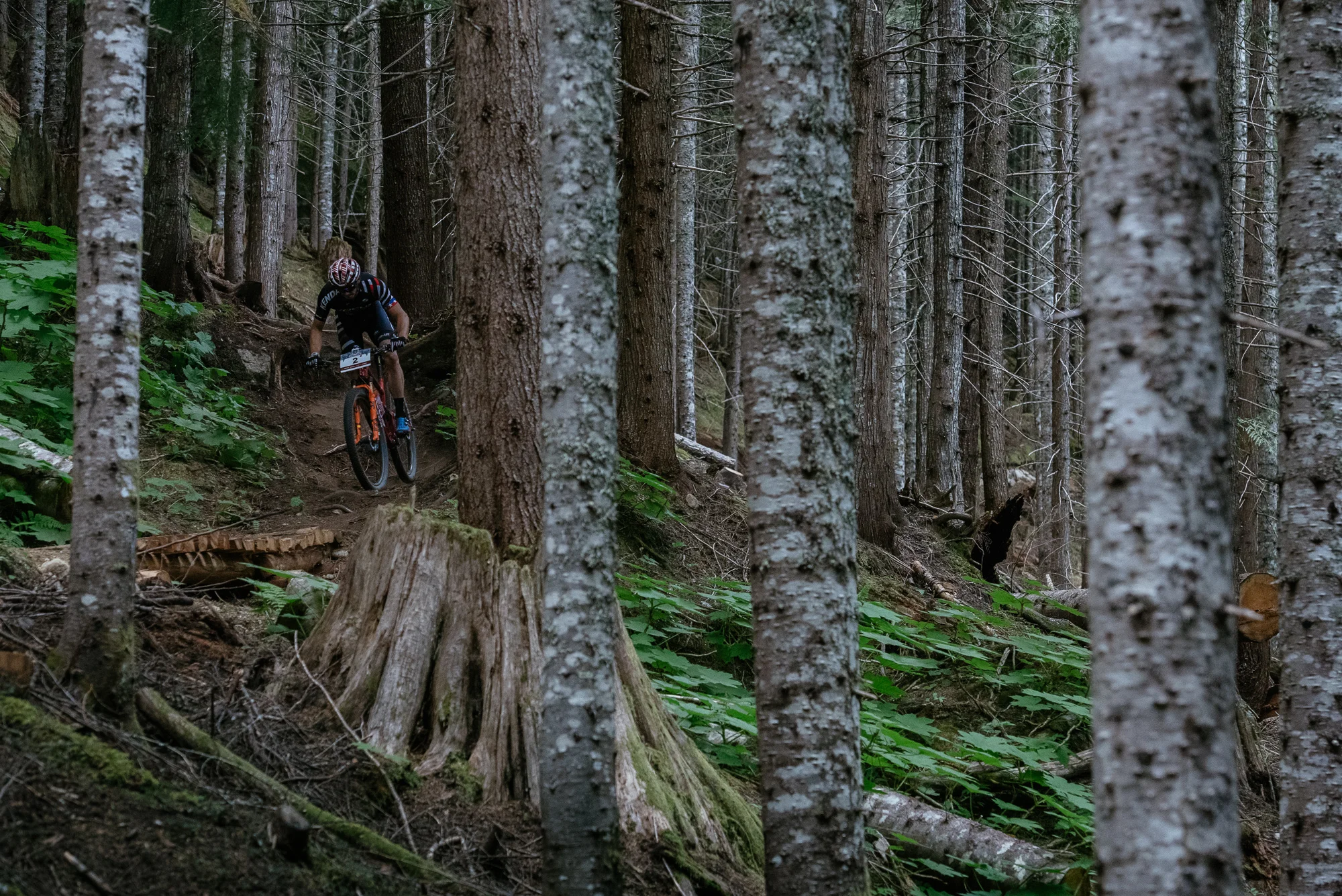 Photo: Margus Riga