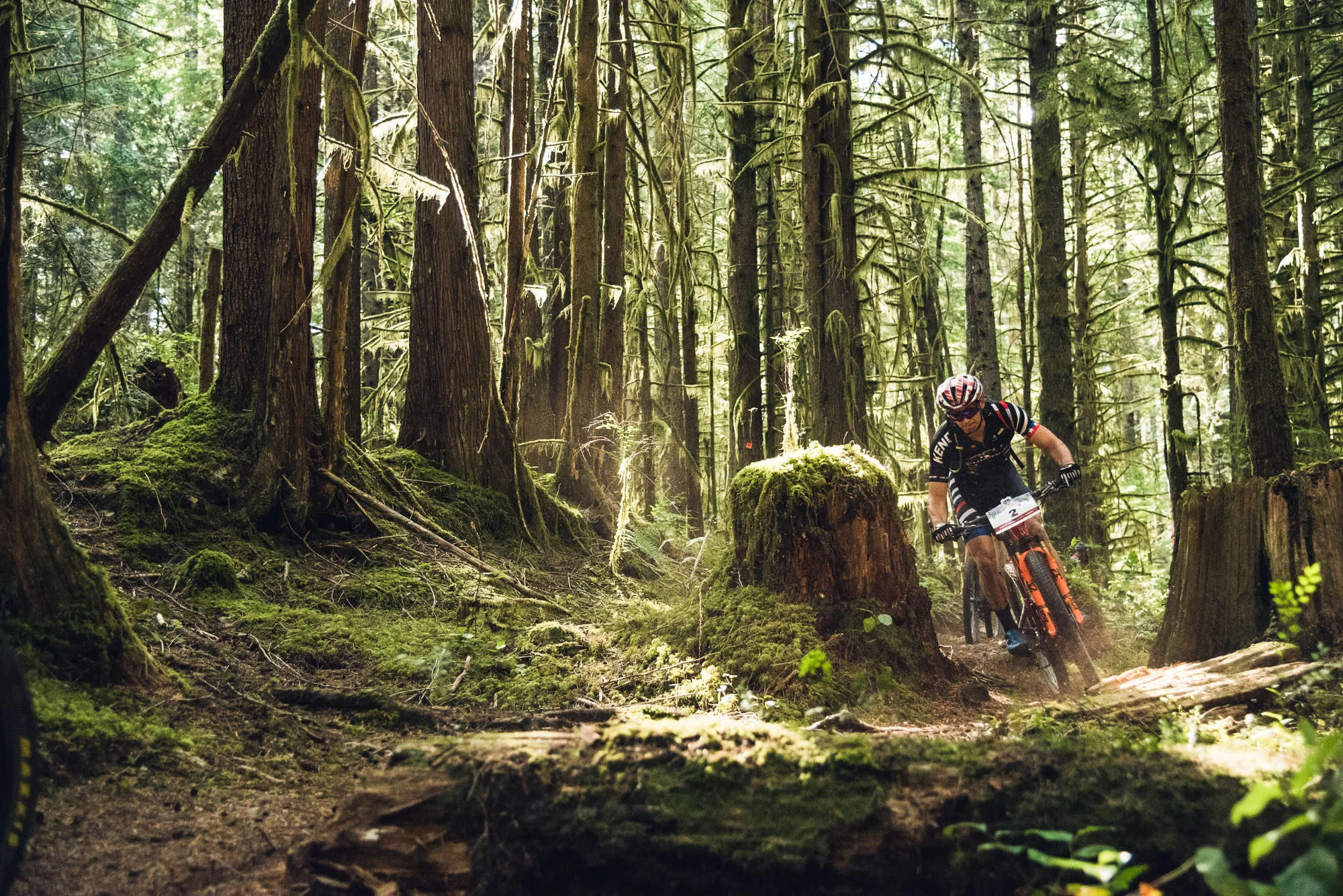 Photo: Dave Silver, Stage 2 Powell River