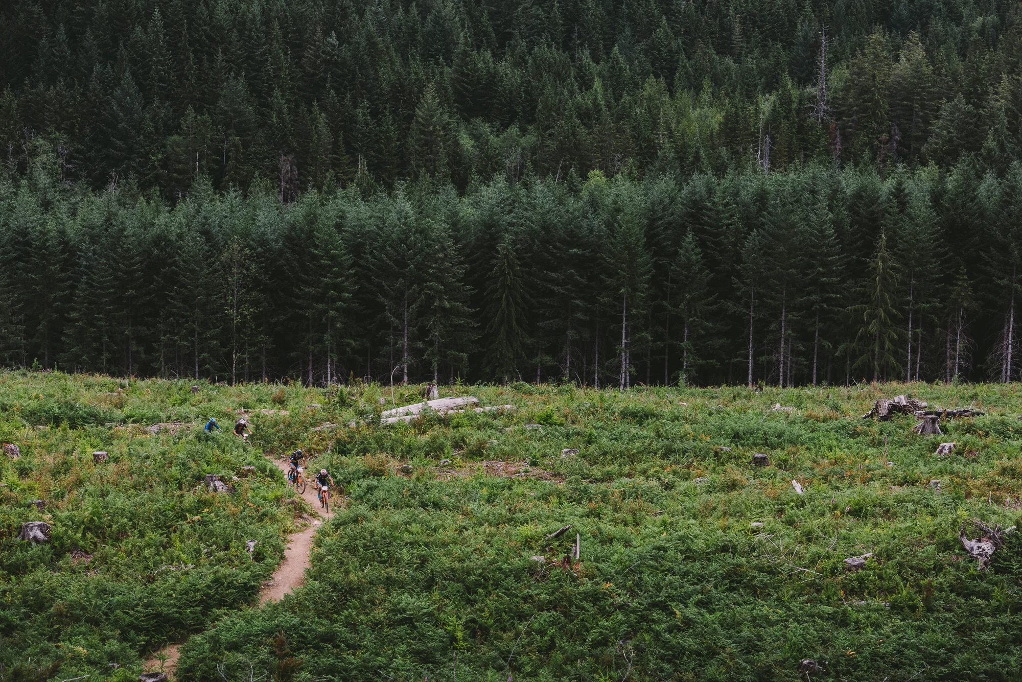 Photo: Margus Riga Stage 3 Earls Cove