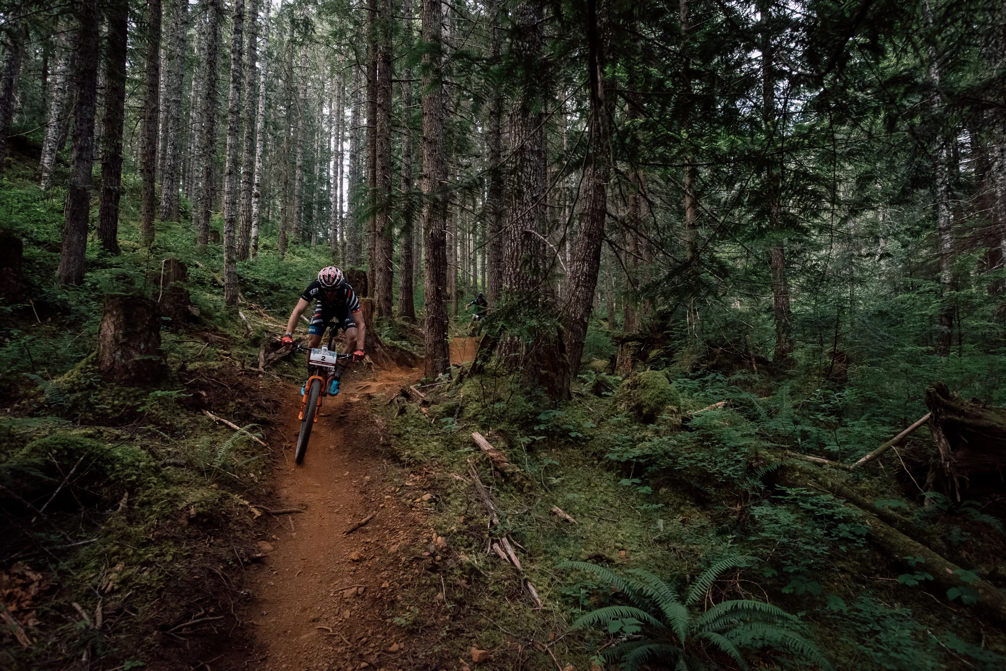 Photo: Margus Riga, Stage 1 Cumberland