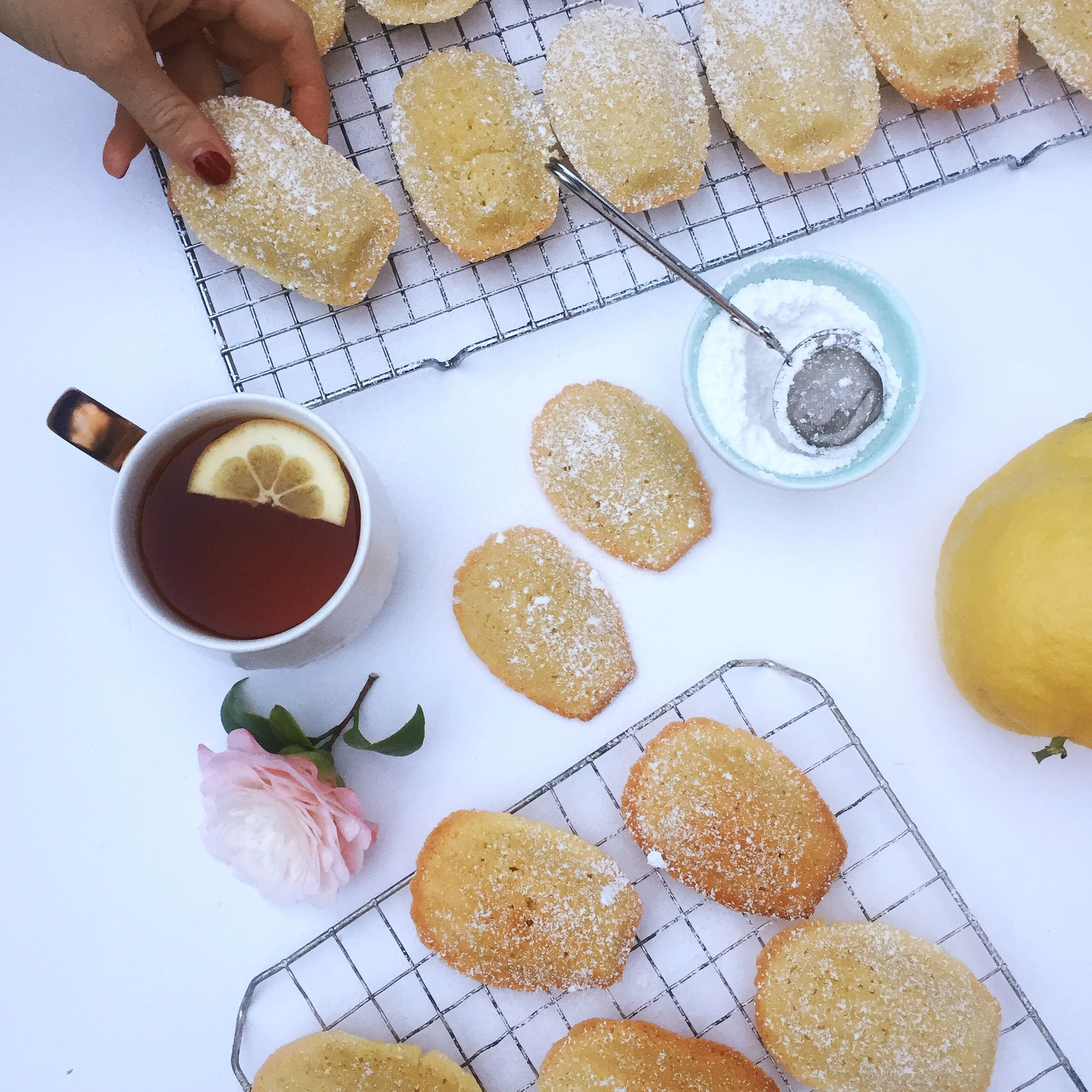Mad for Madeleines