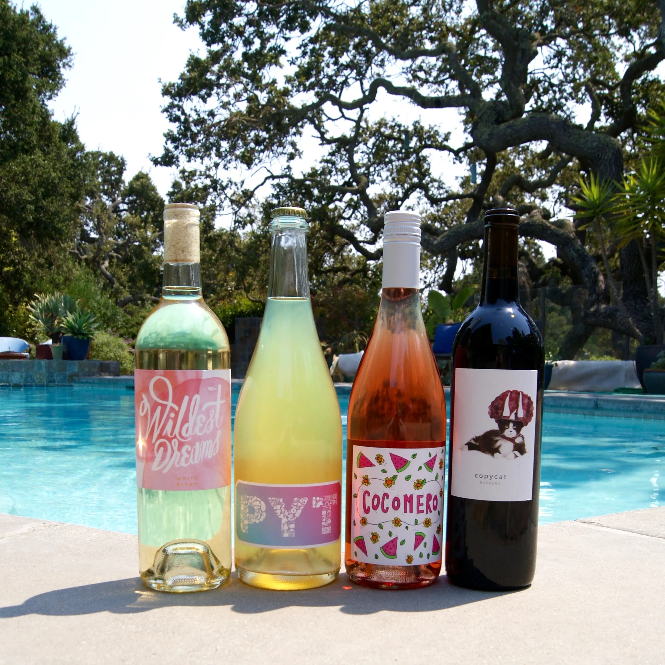 Winc: Wine Subscription Service Review & Free Bottle Code!