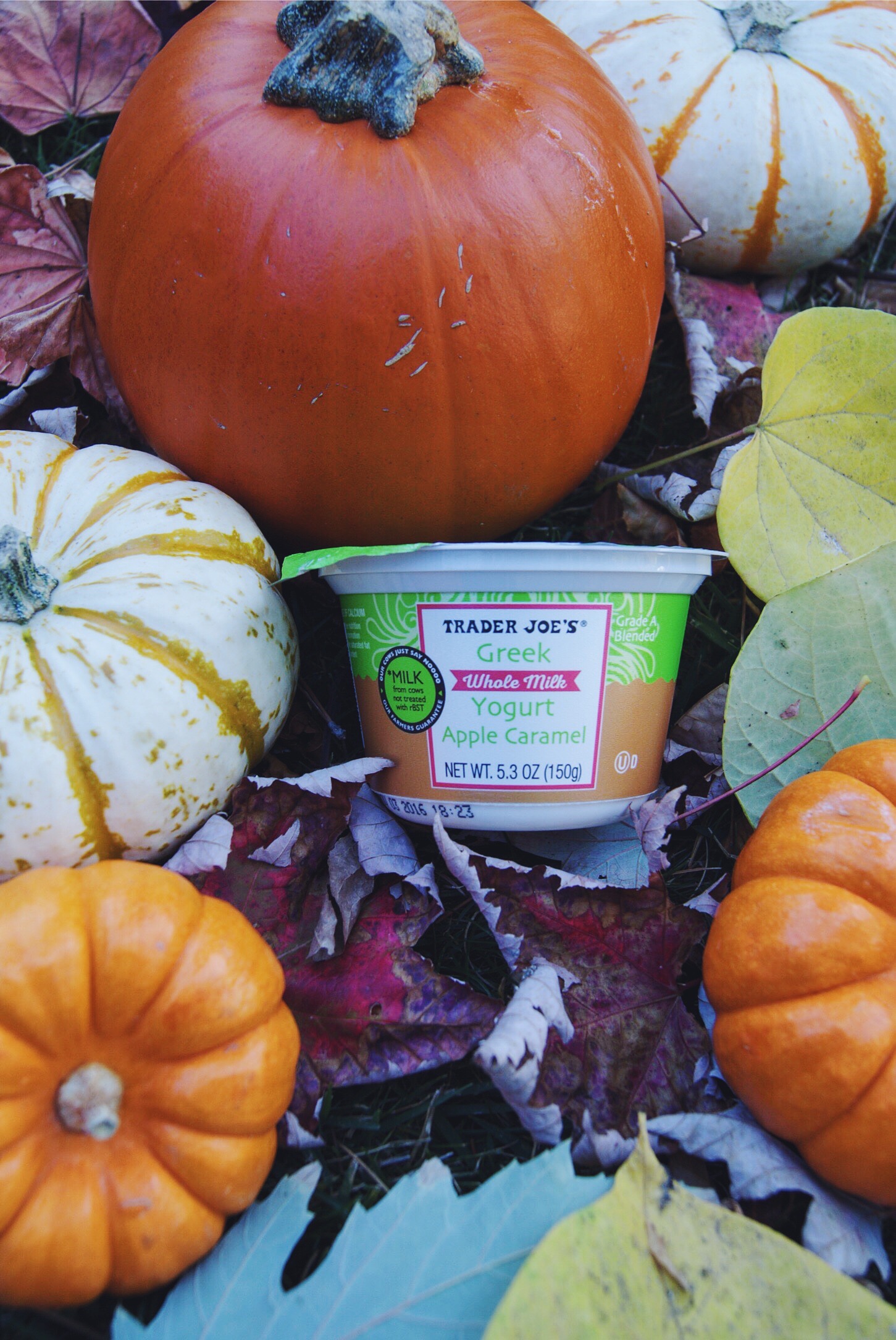 Not technically pumpkin but SO delicious!