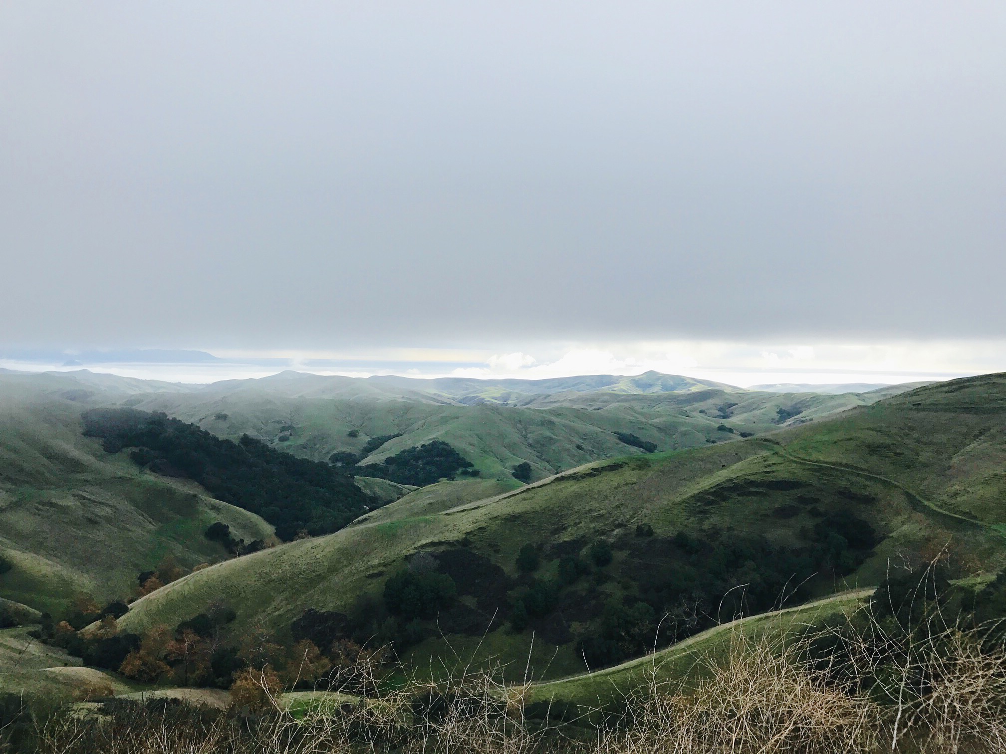 View above Cambria from HWY 46