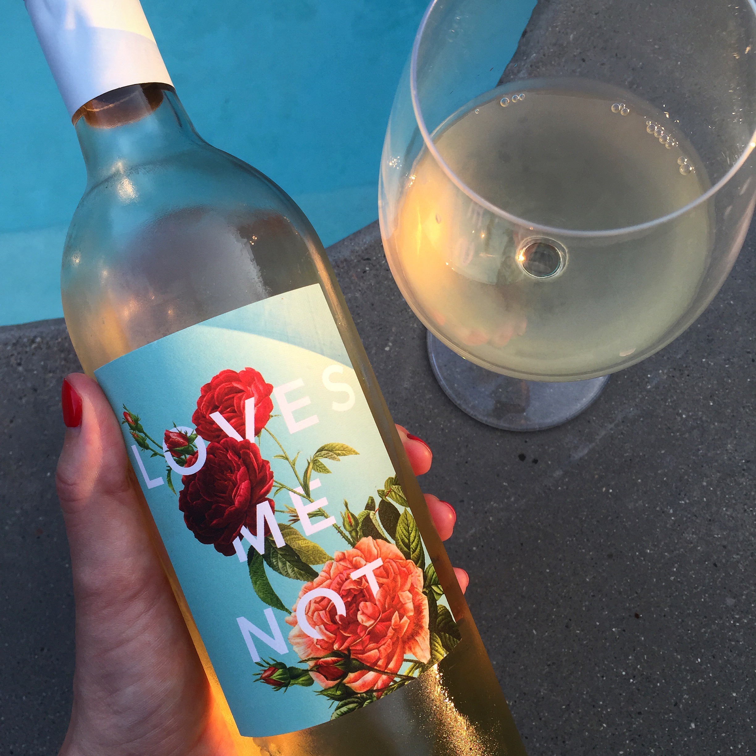 One of the wines we received from Winc. Don't you love the label?! 