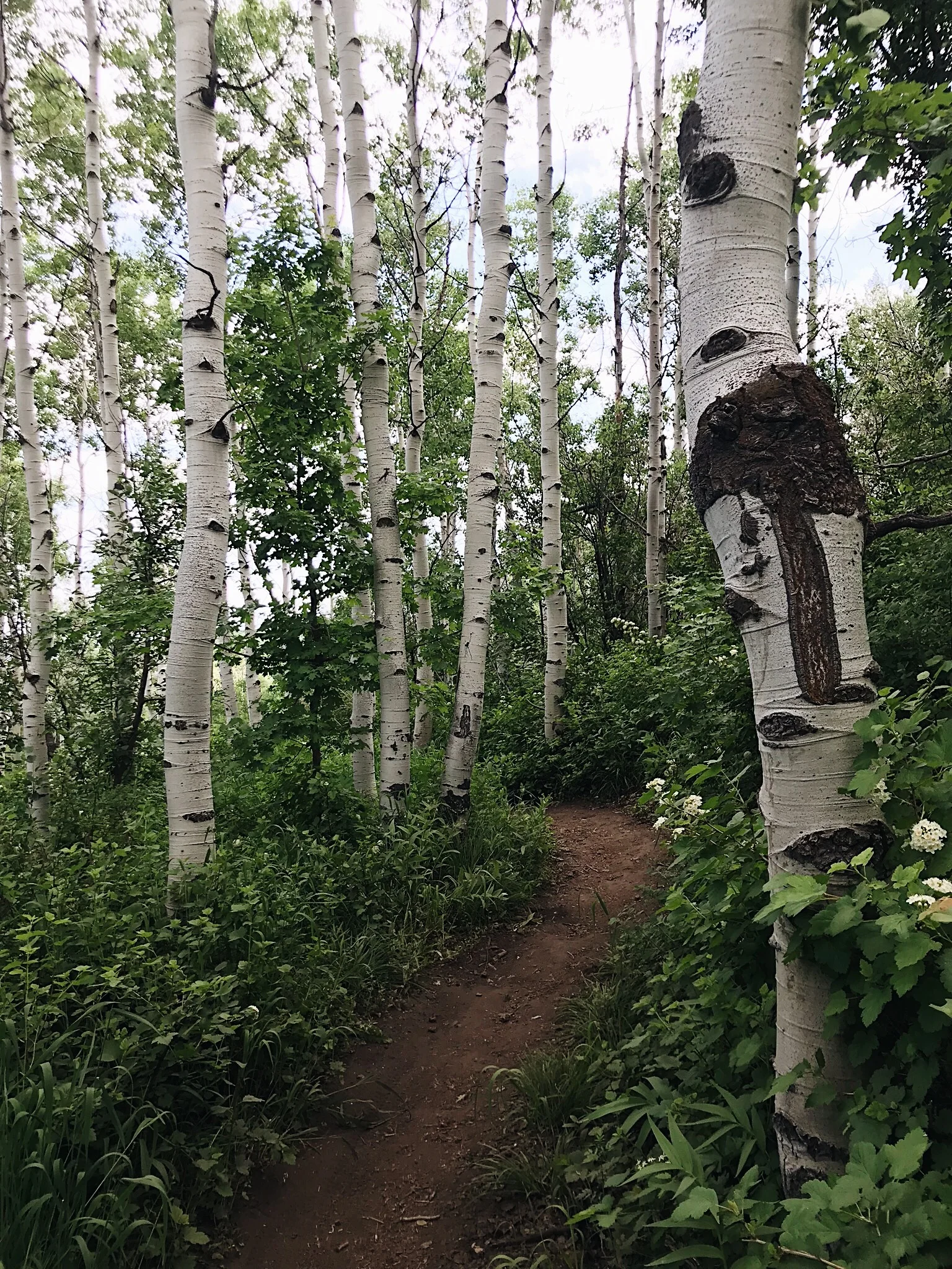 Playtime in Park City, Utah