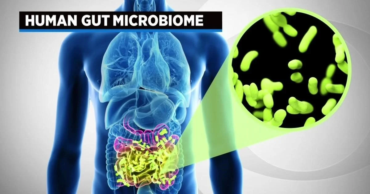 microbiome.jpg