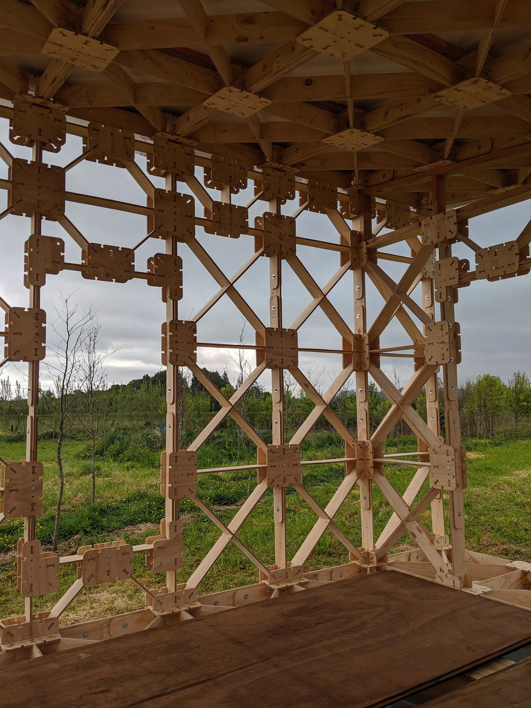 X-Frame Structural Wall.jpg