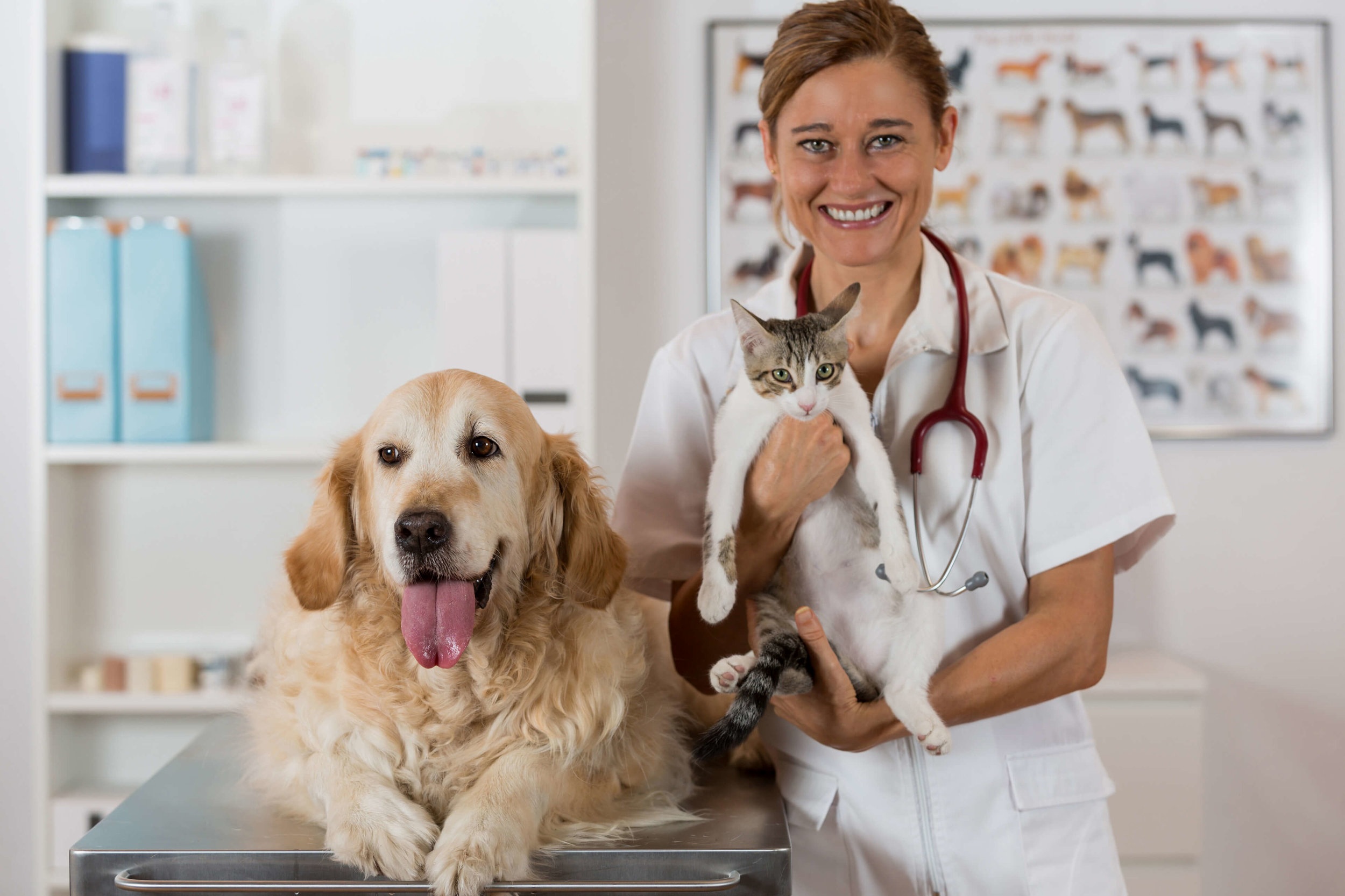 Veterinary Pharmacy, Animal Pharmacy