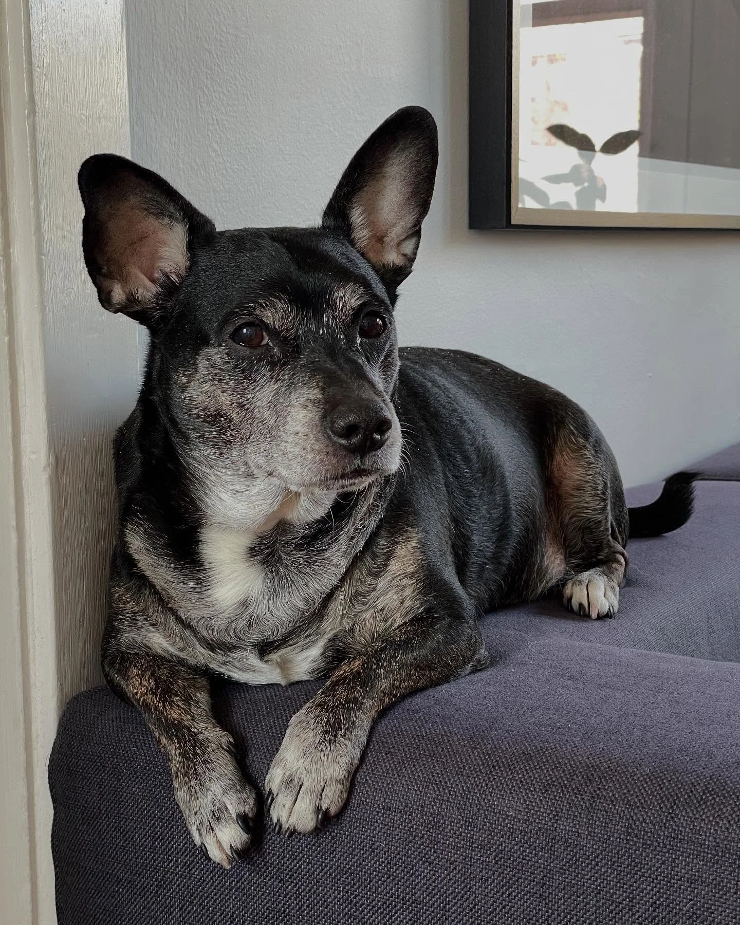 This is Pimpin&rsquo;, VP of Sales and Interim Security Chief