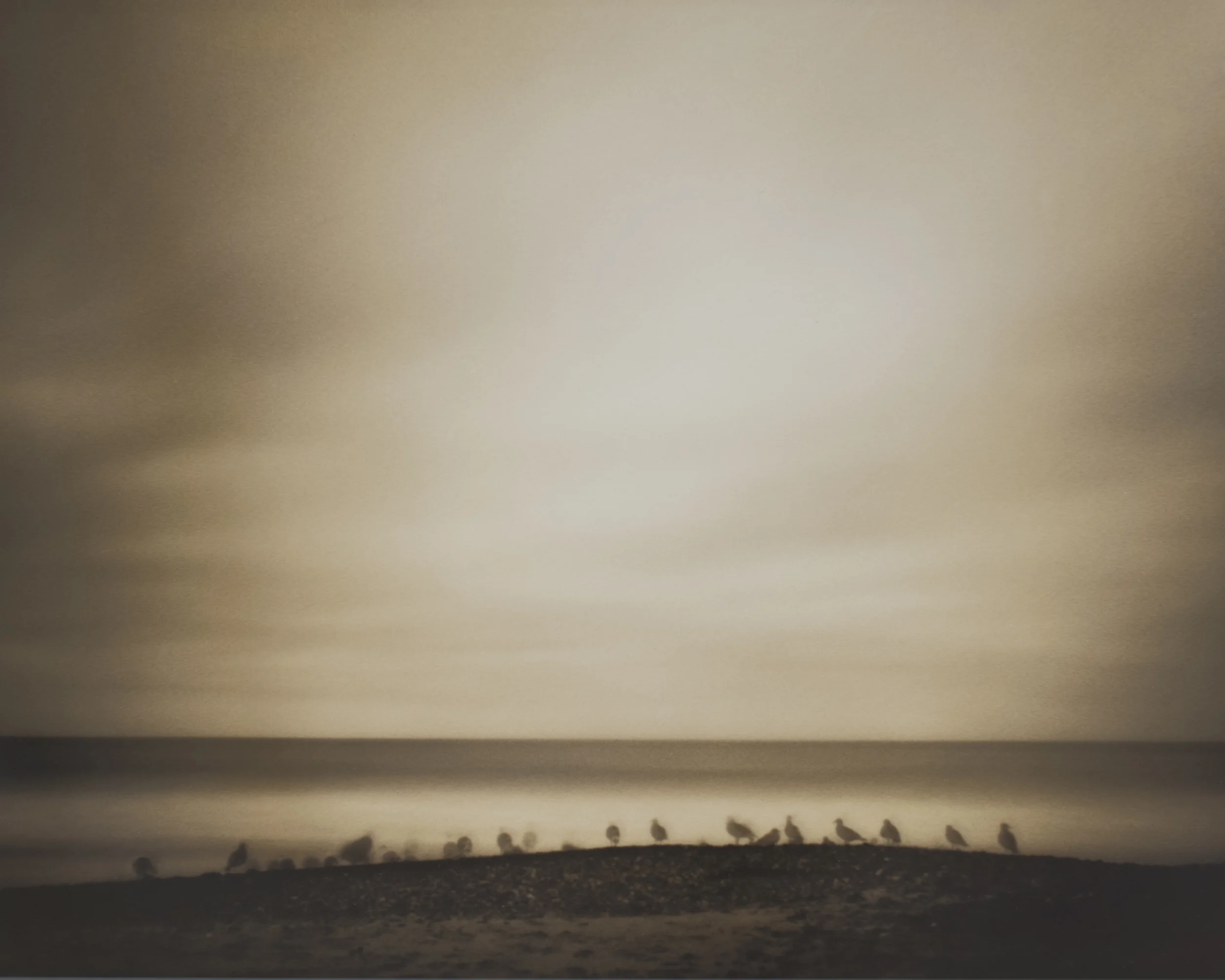 Pinhole and Plastic Camera Show