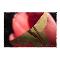 Brown Paper Bag Origami.jpg