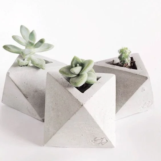Decor for green thumbs