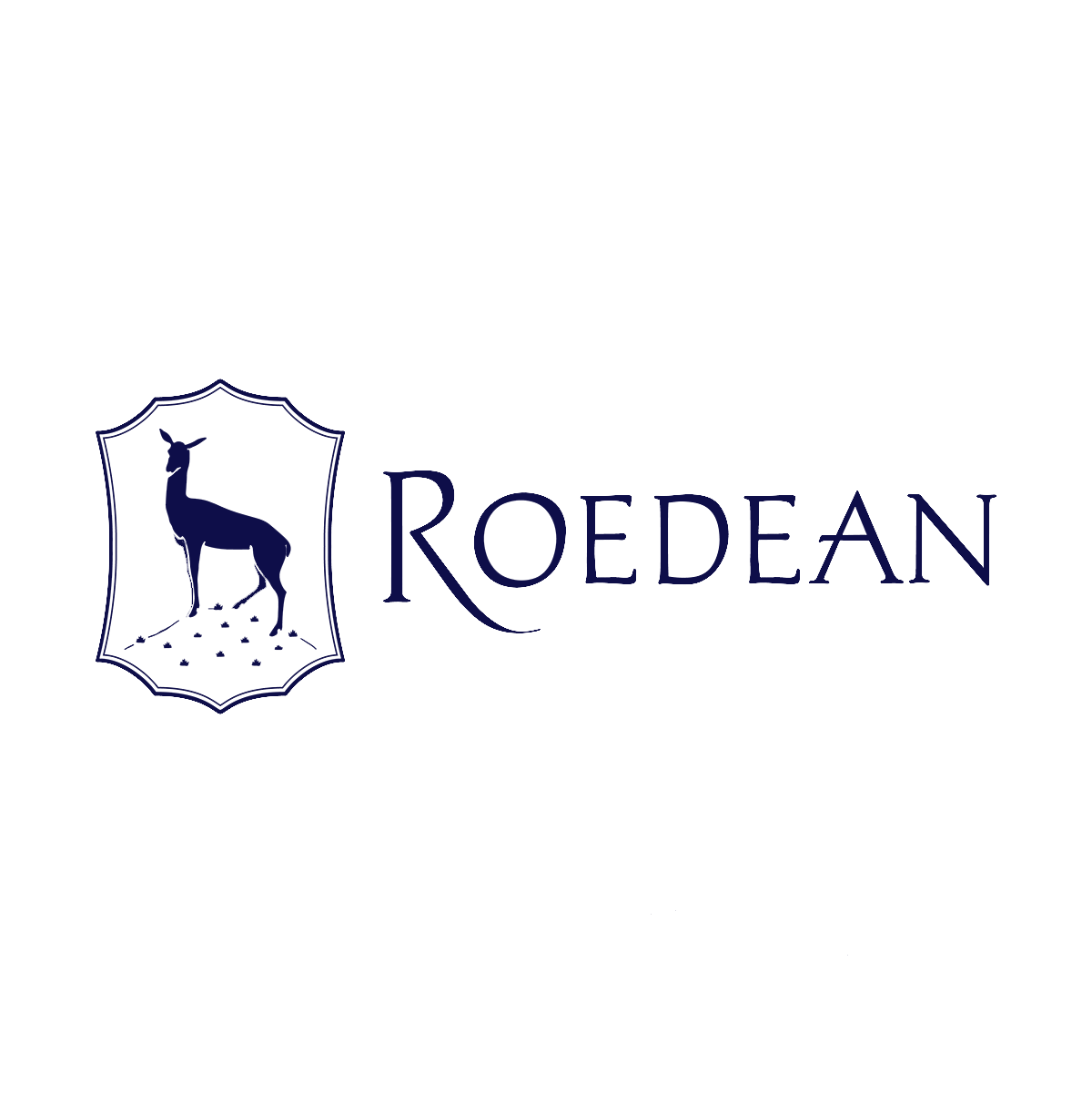 Roedean-Landscape-Logo-02 Blue.png