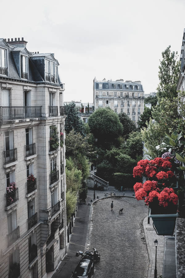 Montmartras ir geranijos. Montmartre and geranium.