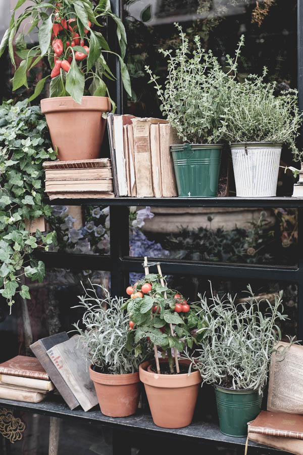 Gėlių krautuvėlė. Flower shop stand.
