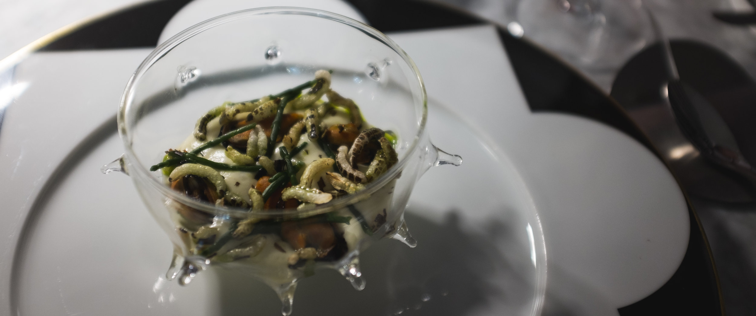Felix Lo Basso. Sūrio putėsiai su jūros šparagais ir ryžių spragėsiais. Felix Lo Basso. Mousse with cheese, sea asparagus and puffed rice.