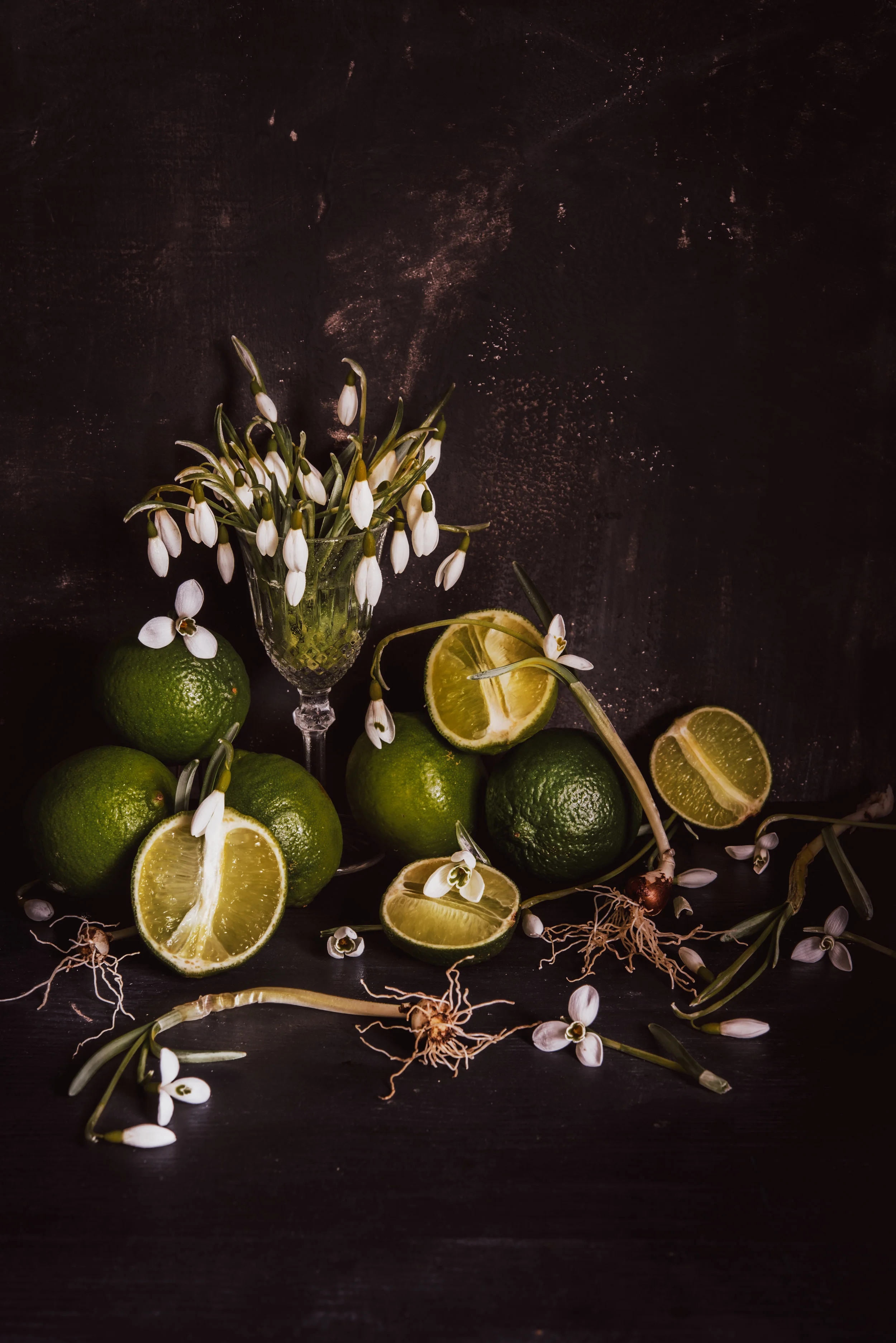 StillLifeWithLimeAndSnowdrop2.jpg