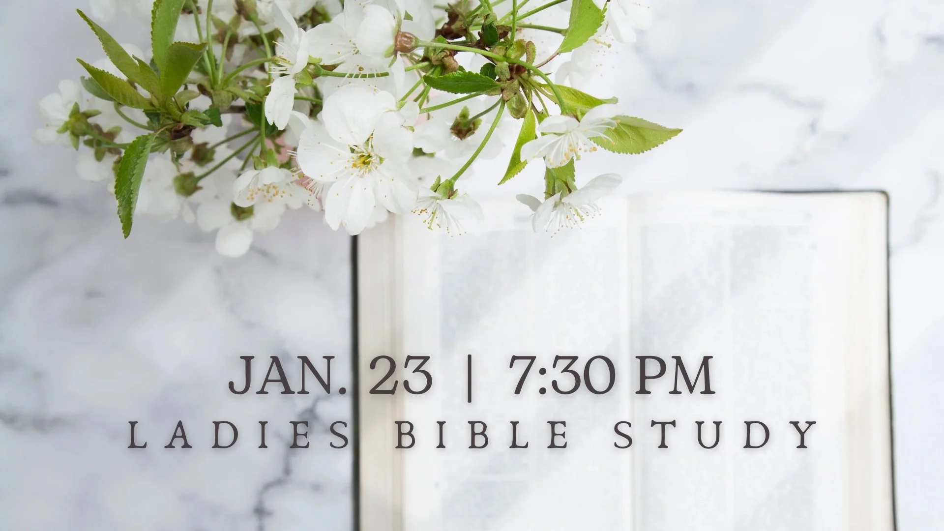 Ladies Bible Study 