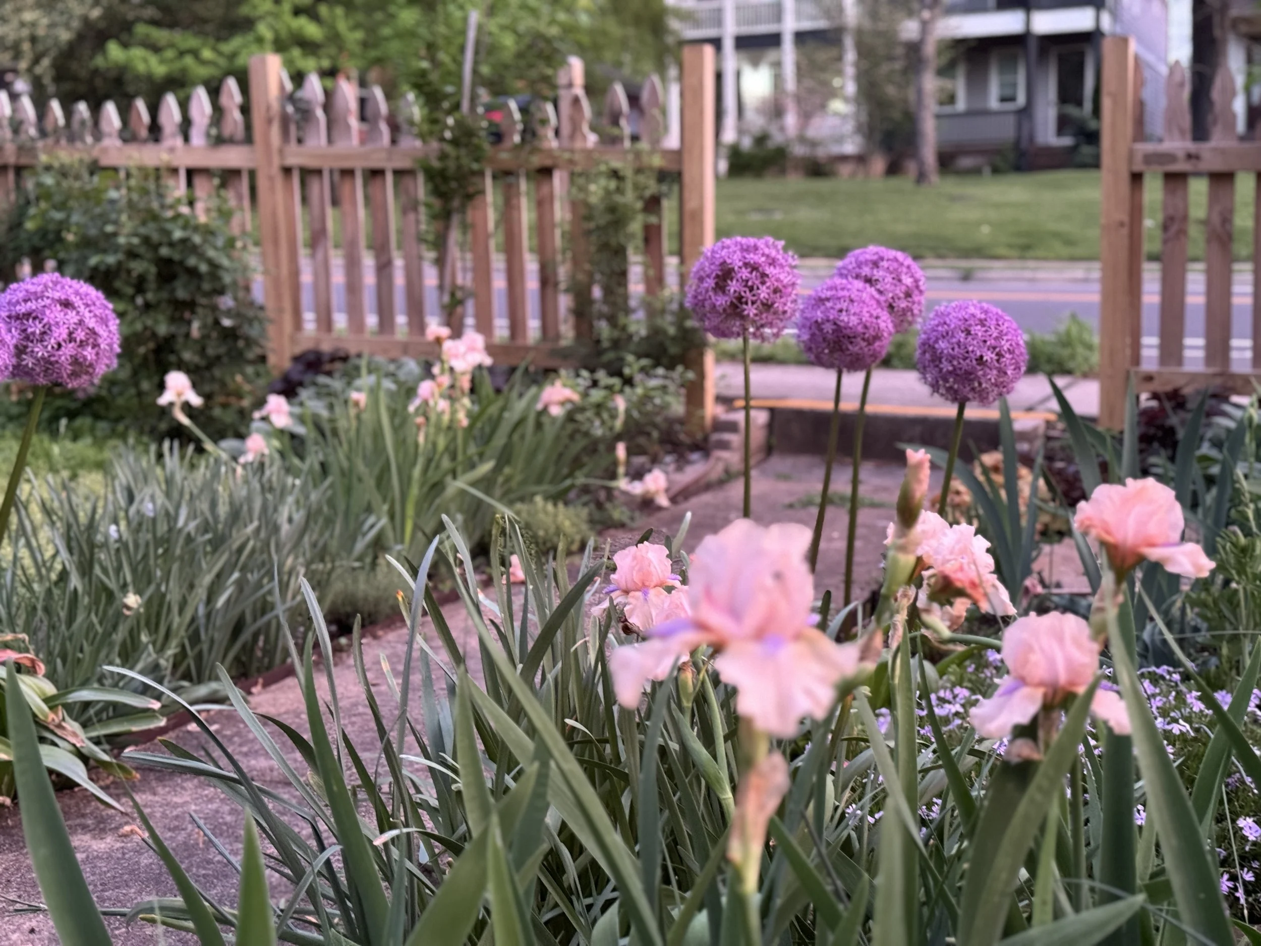 Gardening Guides