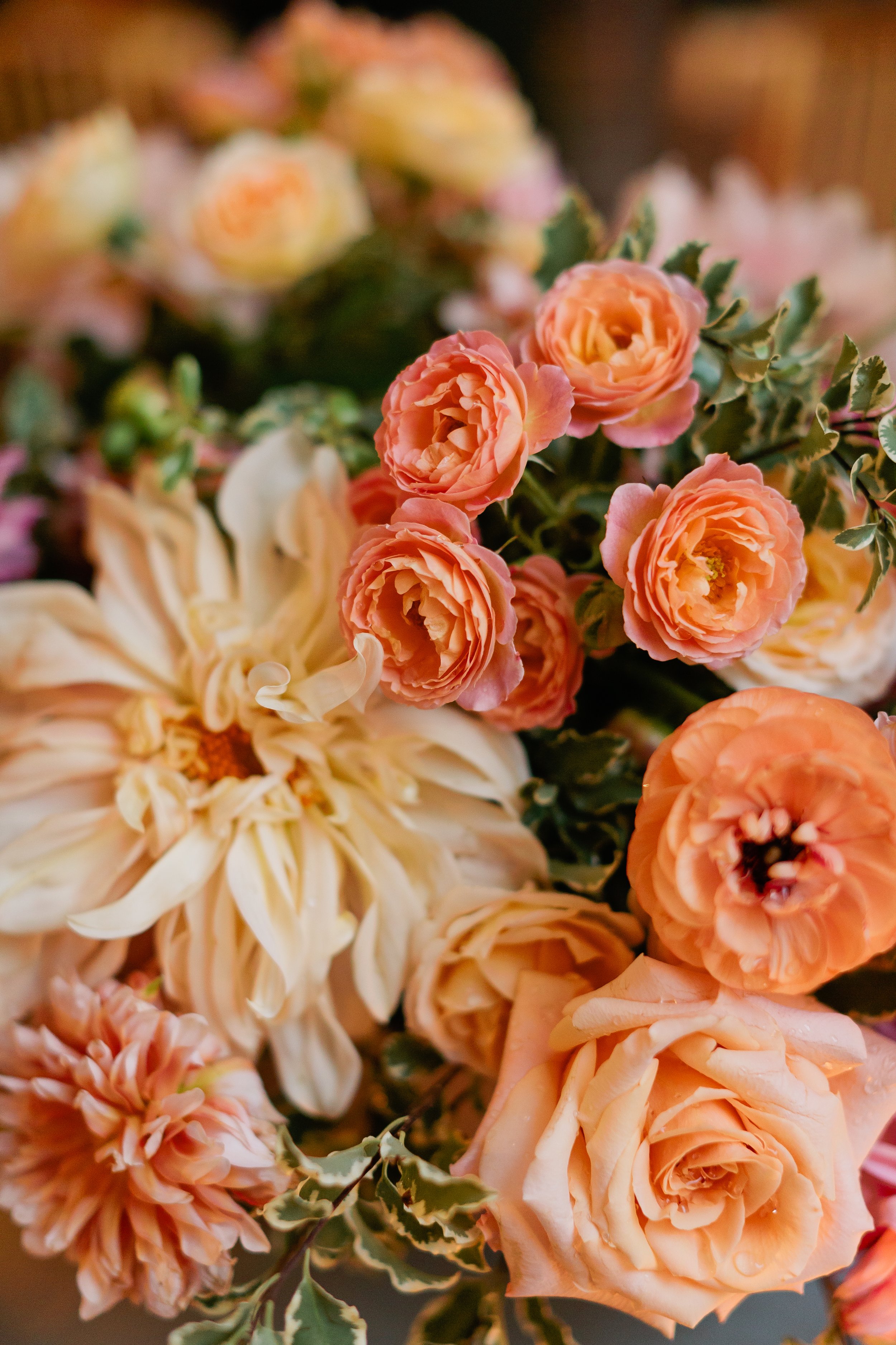 Garden Aesthetic Wedding 