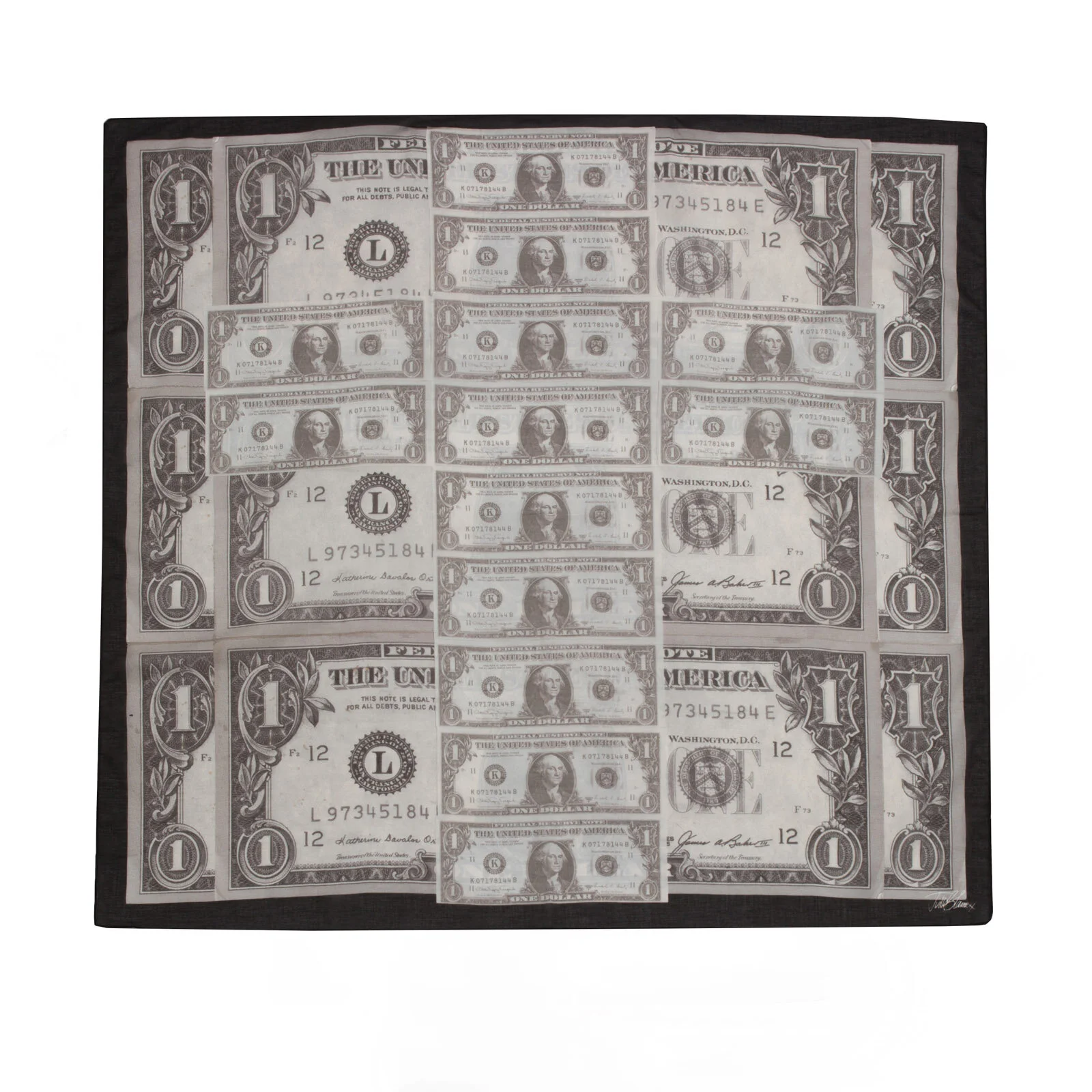 Available Nowhere - Money Scarf