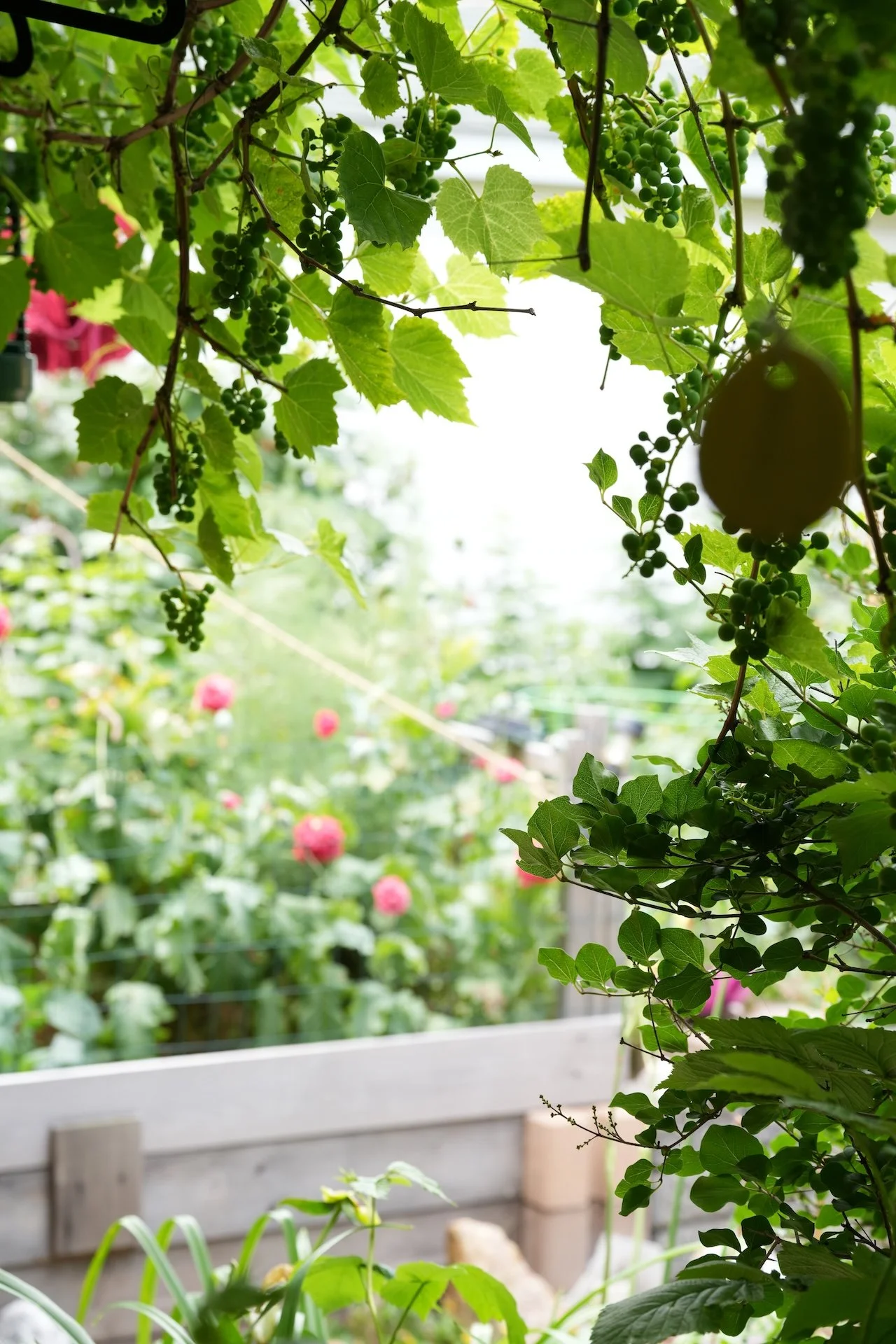 Meditations for Home_17.JPG