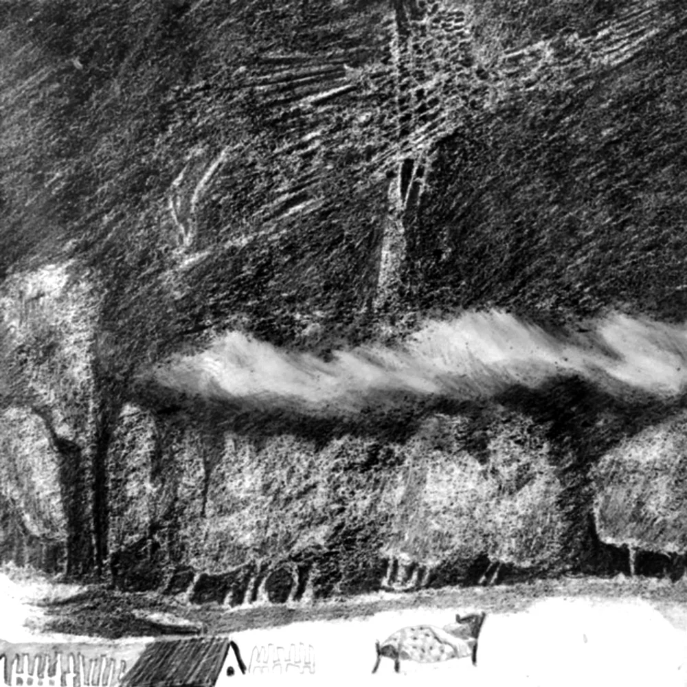 SOMETHING IN THE NIGHT SKY