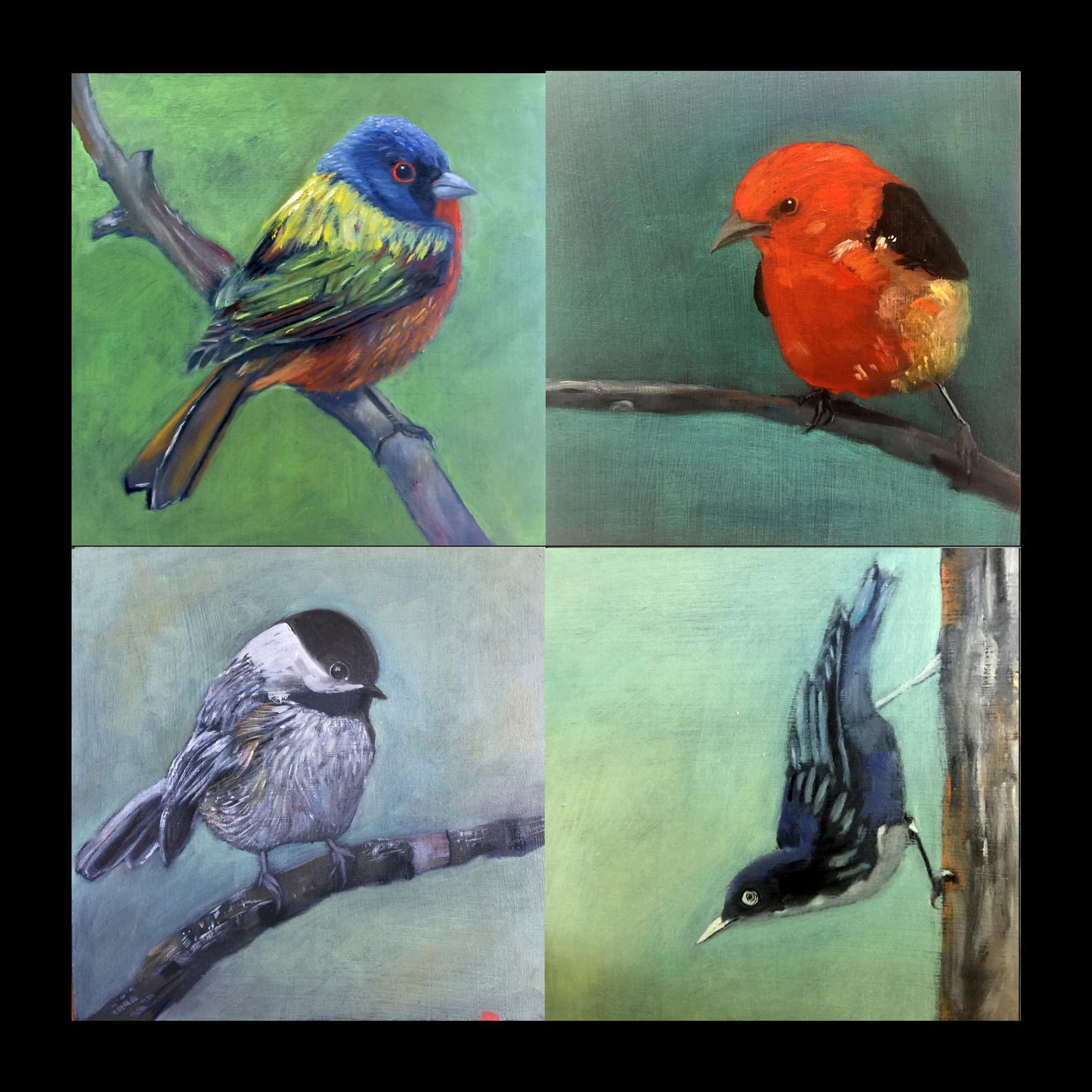 Bird Paintings