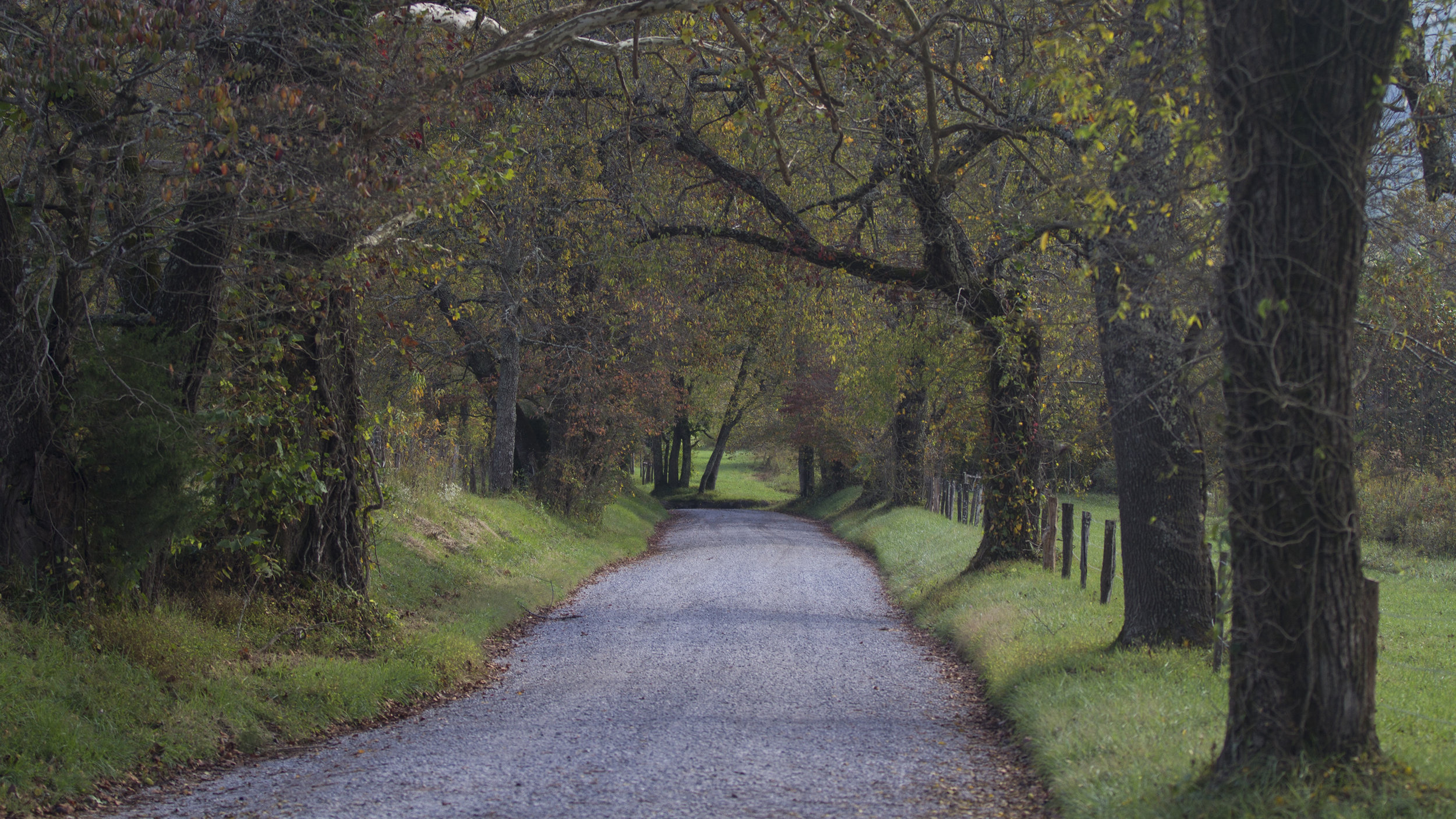 Cades Cove, Great Smoky Mountains National Park