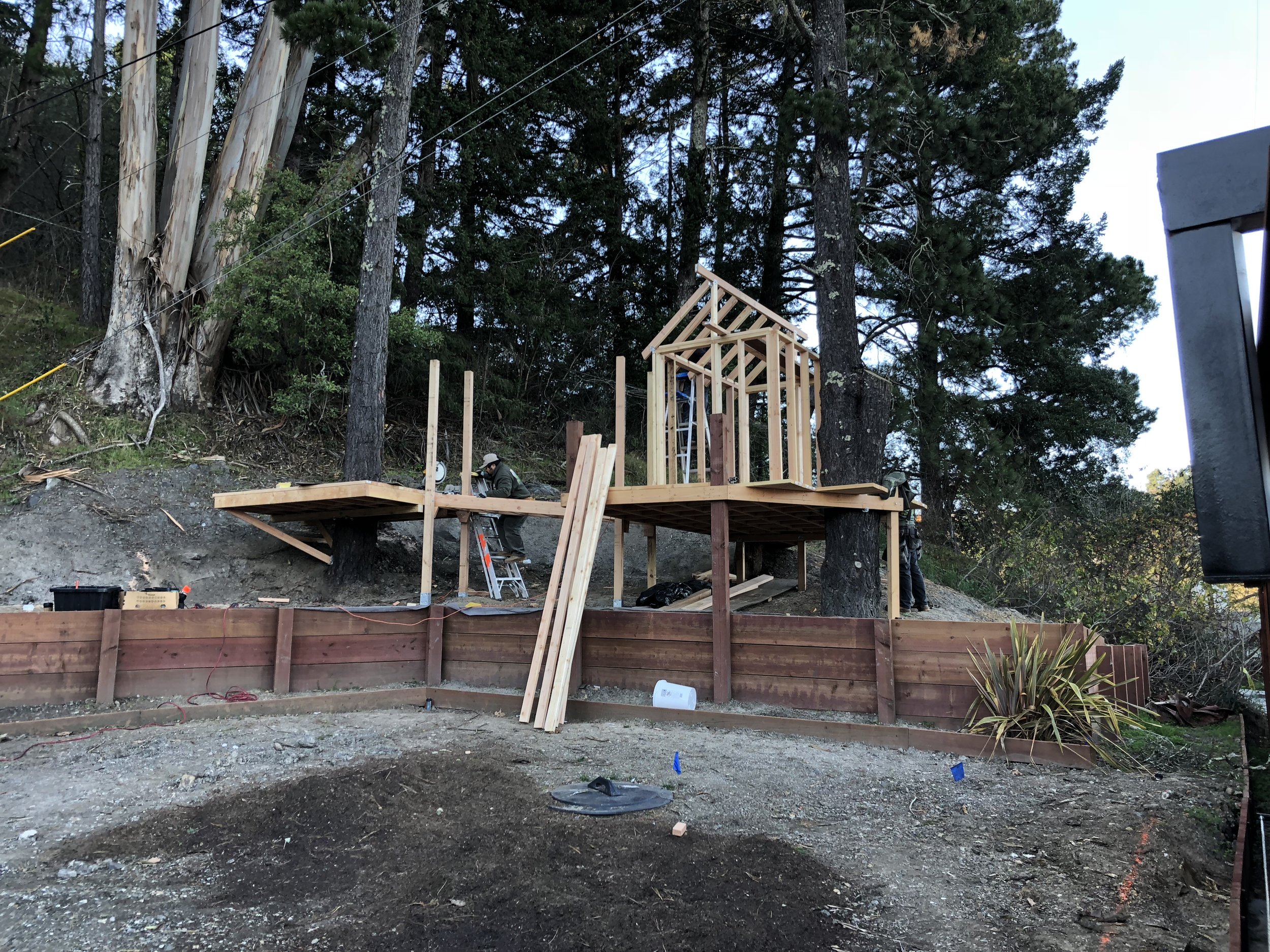 Treehouse in Marin, Mill Valley, Francisco's Gardening and Maintenance - 7 framing and roof.jpeg