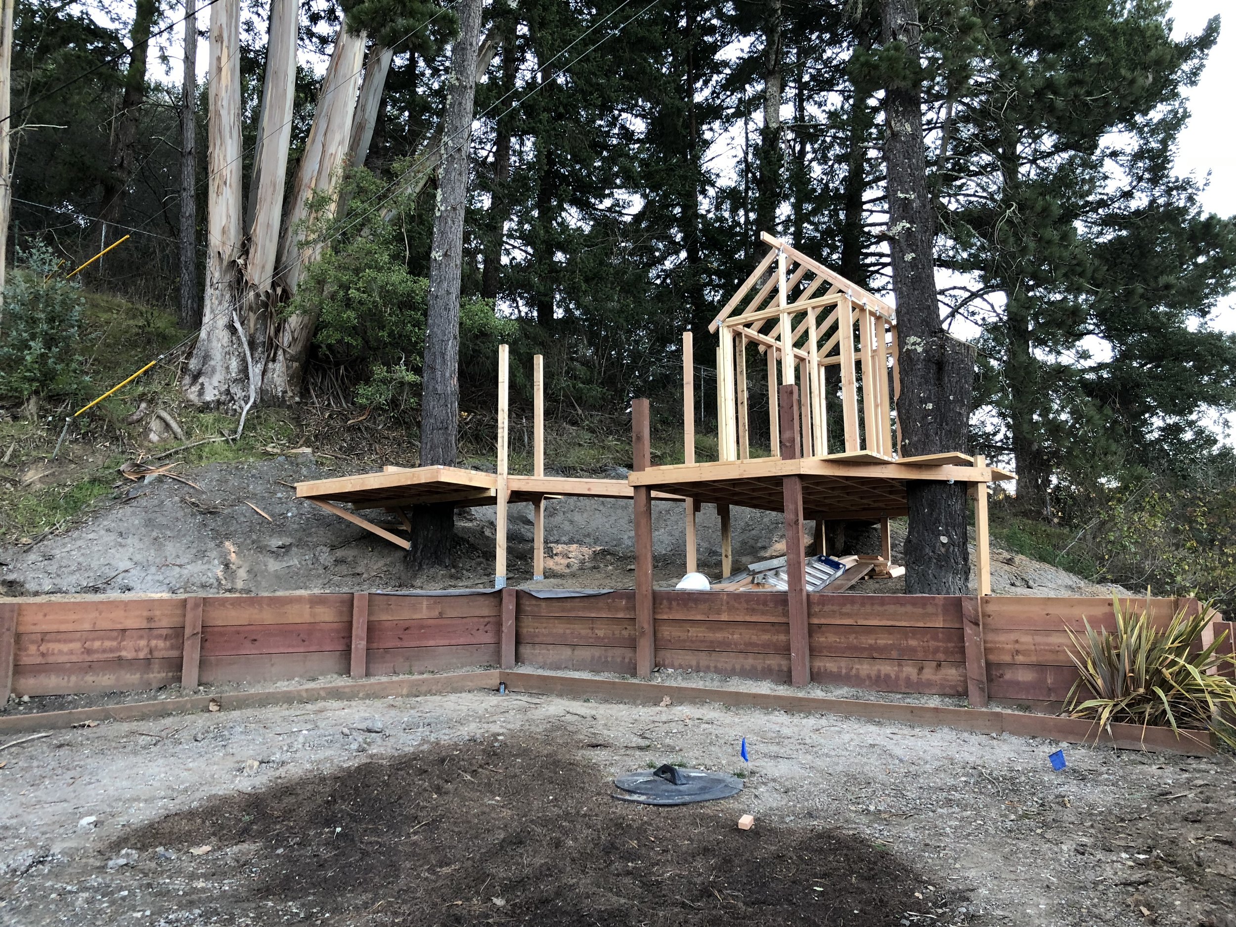 Treehouse in Marin, Mill Valley, Francisco's Gardening and Maintenance - 10 framing and roof 3.jpeg