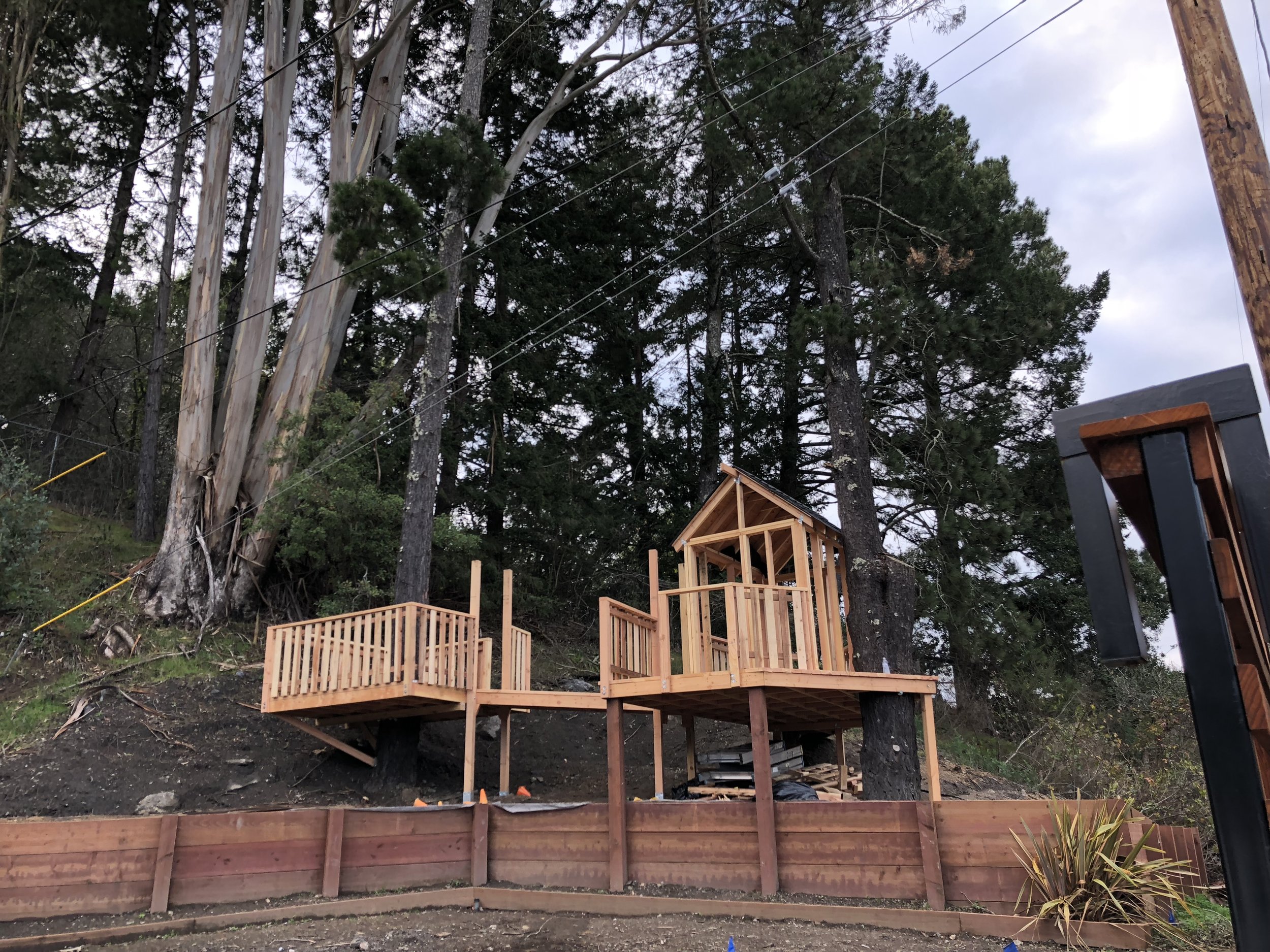 Treehouse in Marin, Mill Valley, Francisco's Gardening and Maintenance - 13 framing and roof shinges 4.jpeg