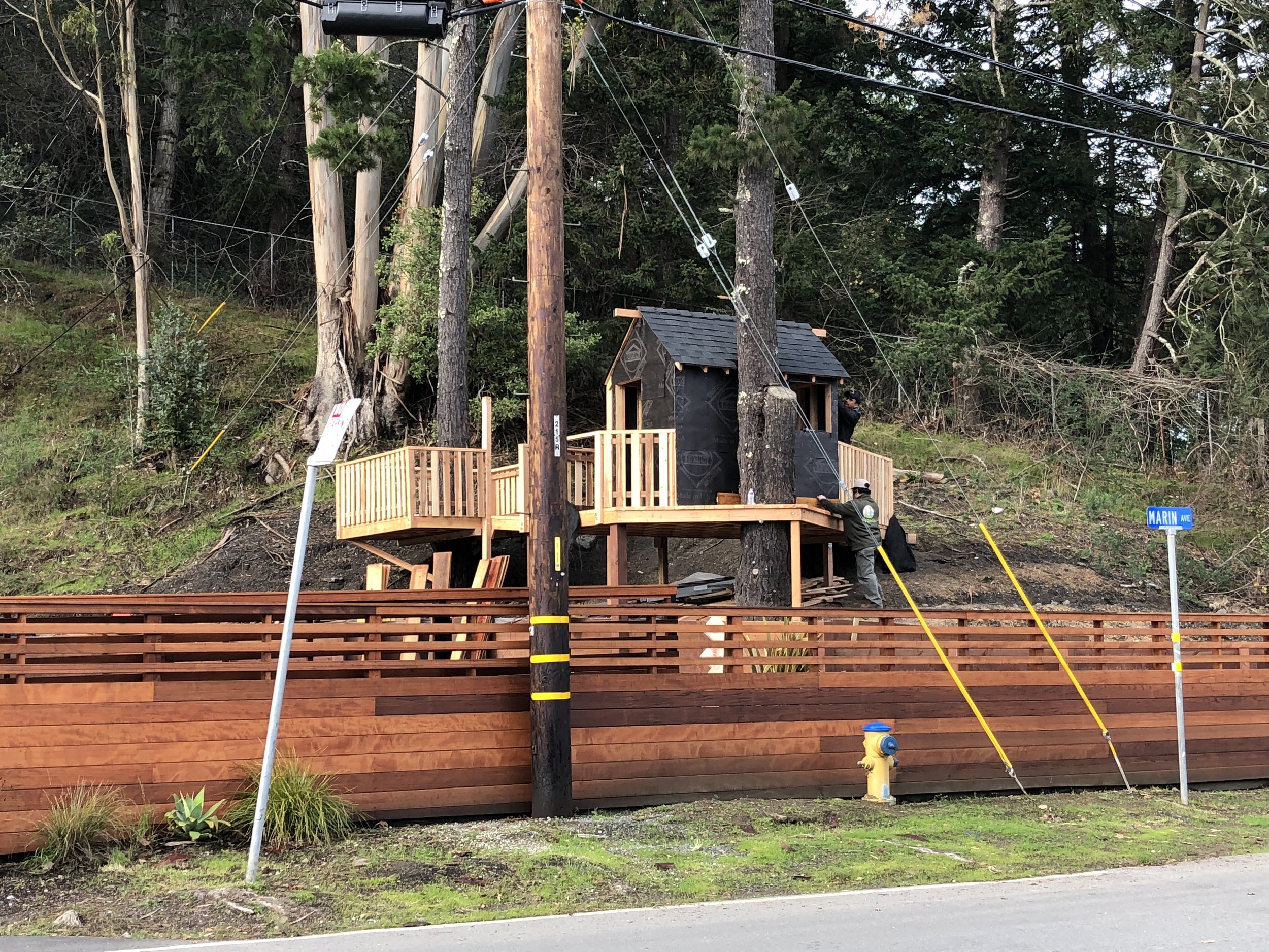 Treehouse in Marin, Mill Valley, Francisco's Gardening and Maintenance - 18 treehouse siding prep .jpeg