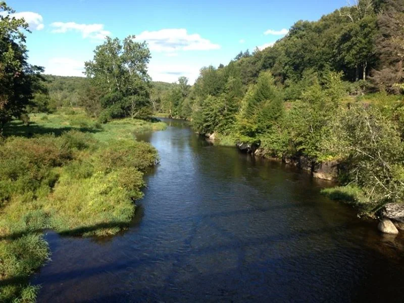 Fellows retreat at Denniston Hill Artist Residency, spring 2016. Come join us!