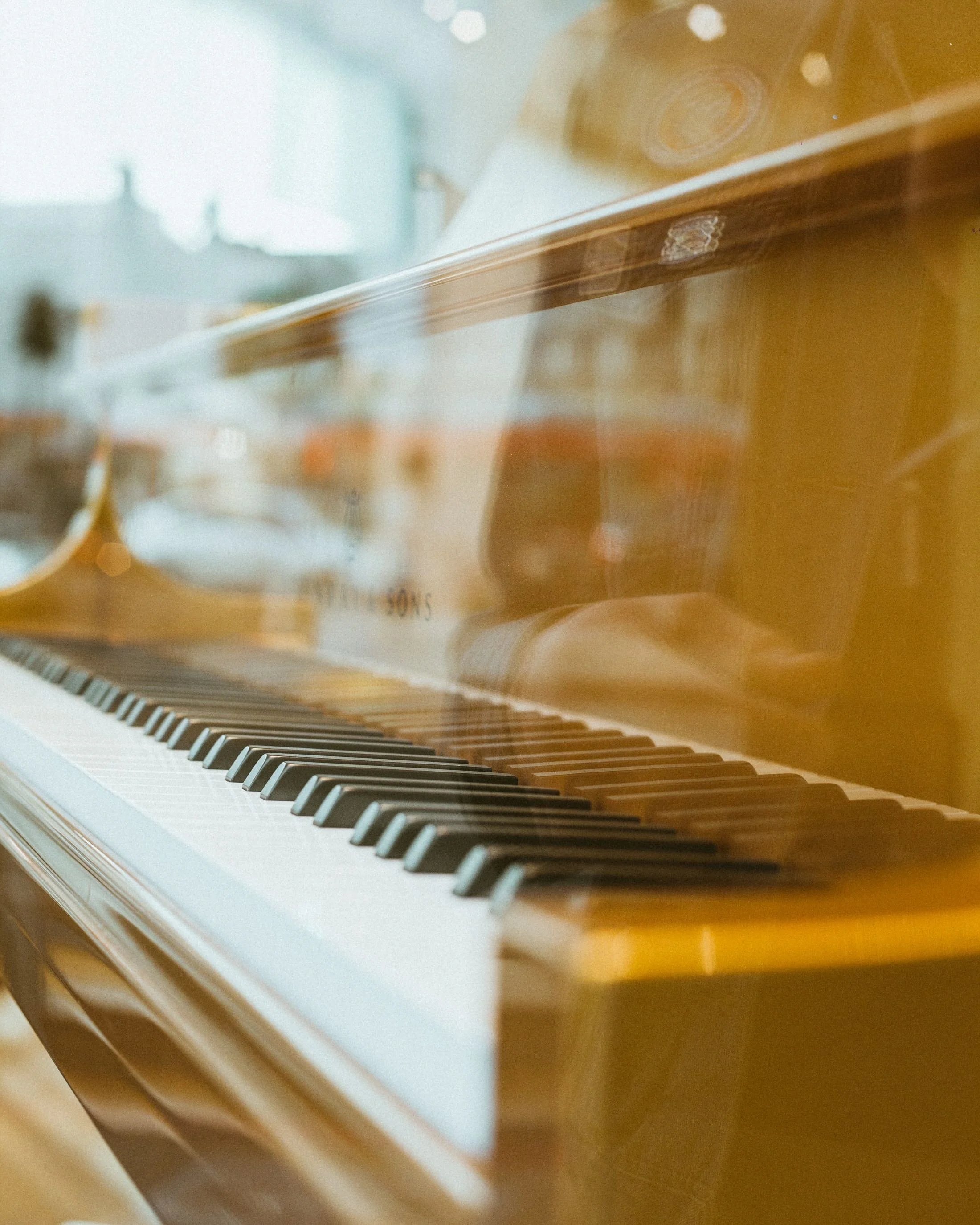 gina lenee piano cover.jpg