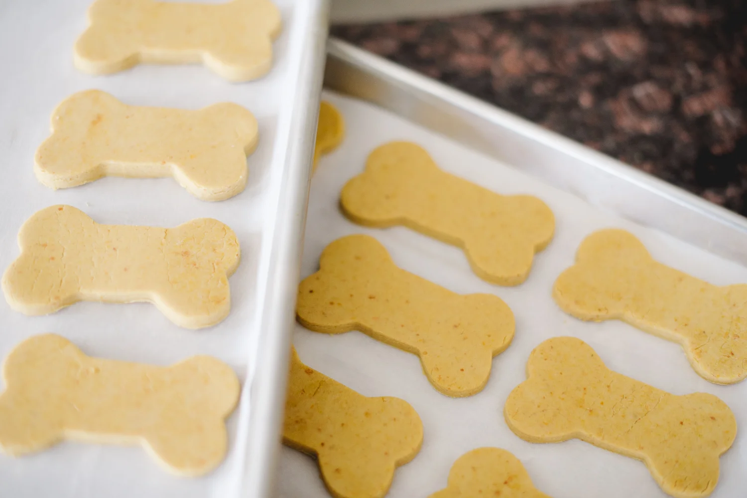 Peaberry-Photography-Proud-Dog-Mom-Blog-Dog-Treat-Recipes-Blog-Photographer-007.jpg