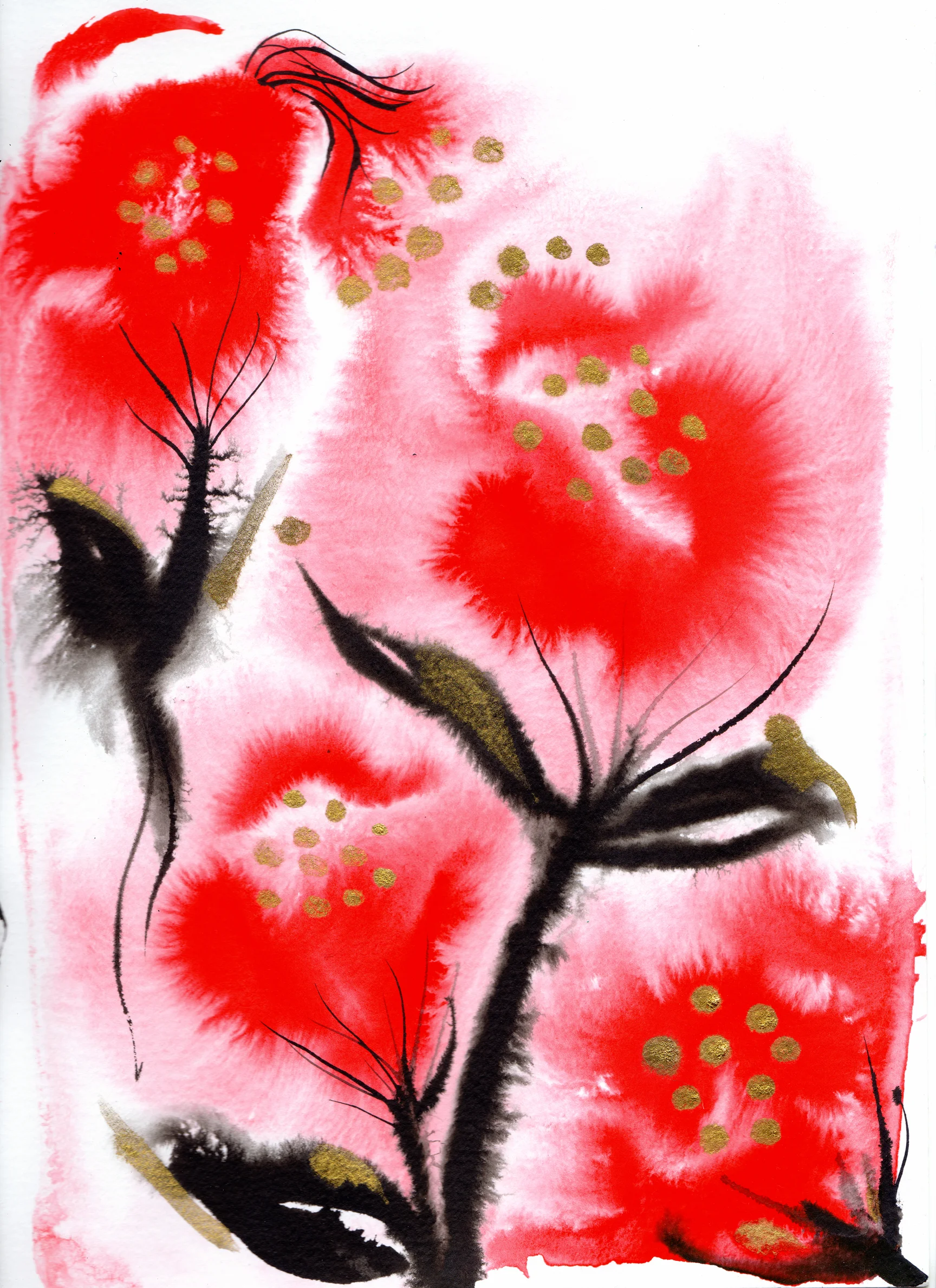 BLEEDING POPPIES