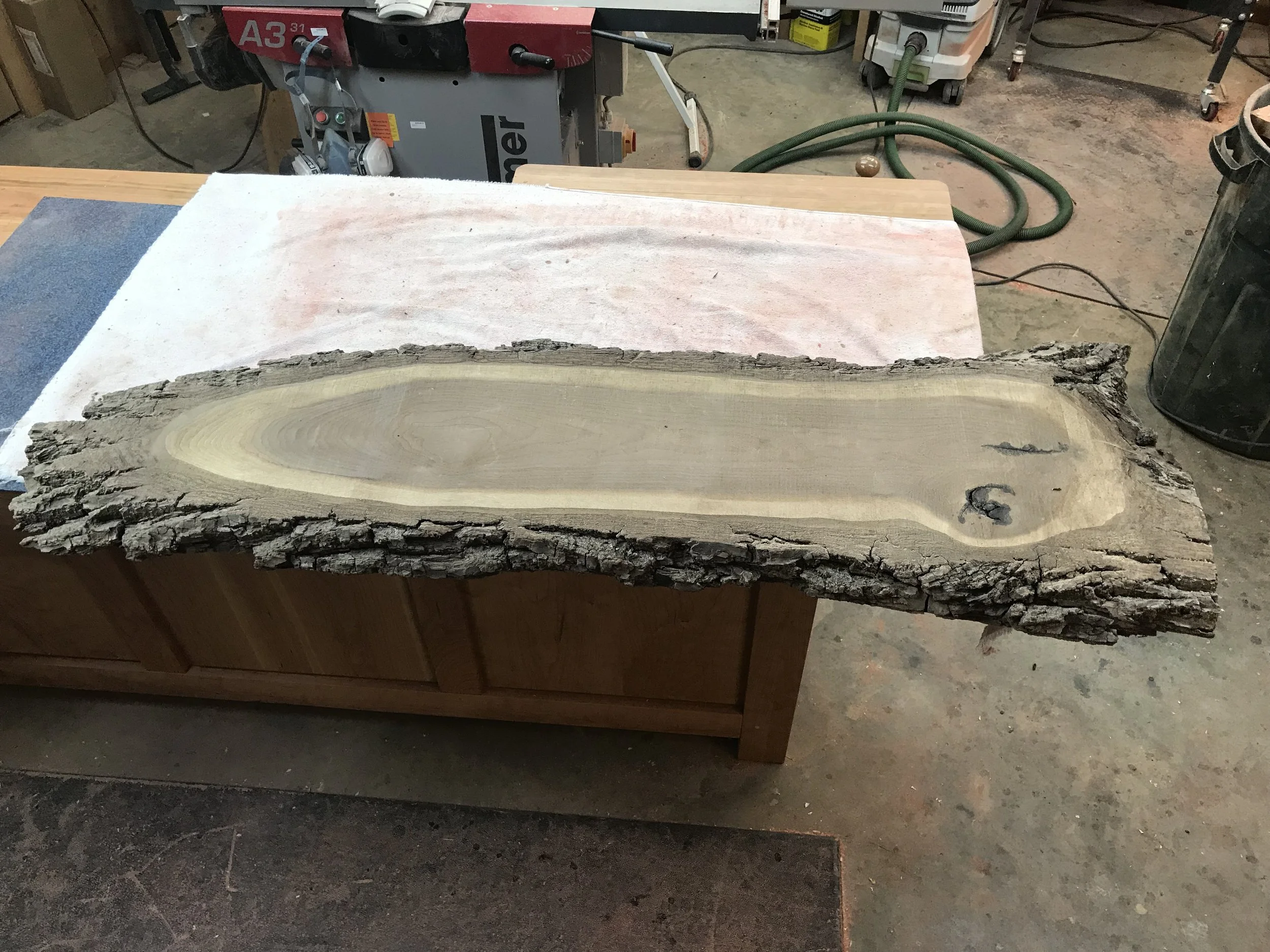 Walnut plank in raw form.