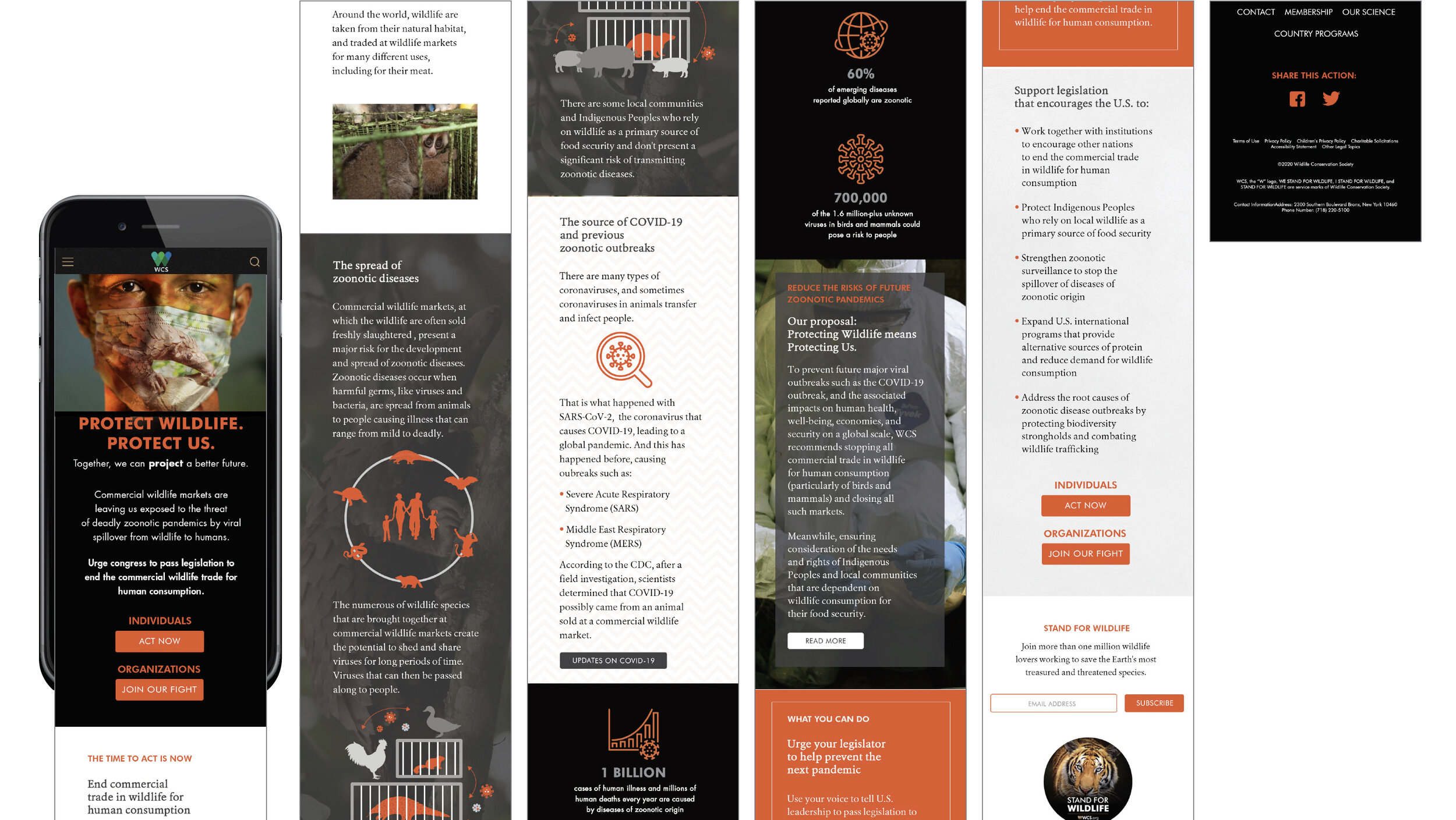 Screen Shot 2020-11-19 at 11.18.12 AM.jpg