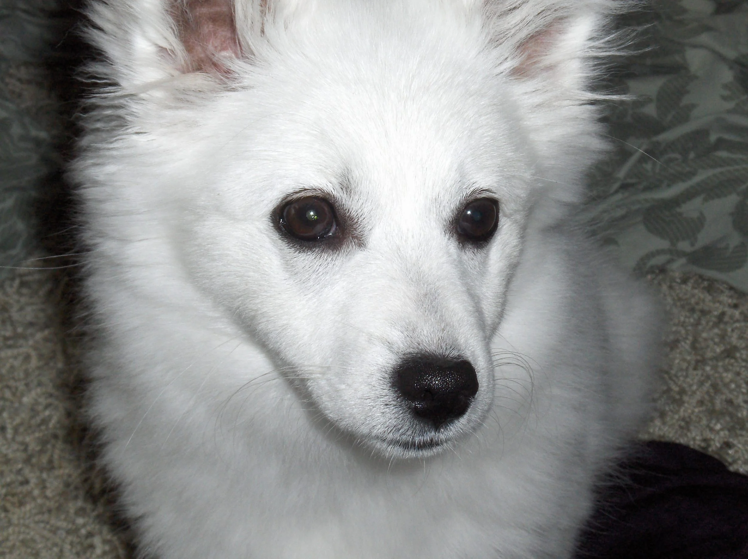 Second Biblio - Books that Inspired Me to Write