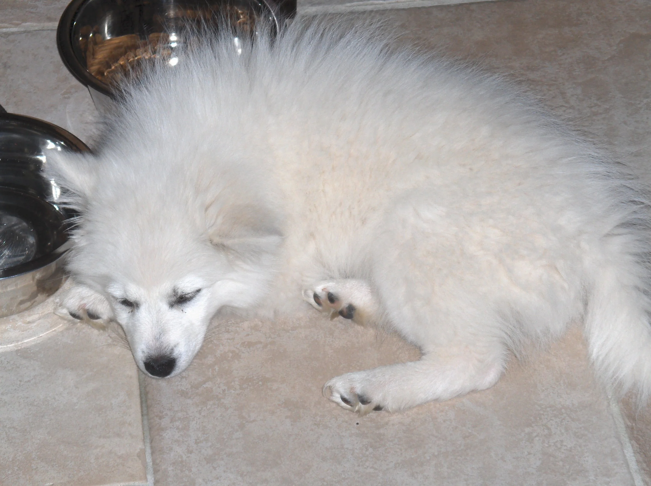 Exhausted after first drive home, but at least there is food & water here....