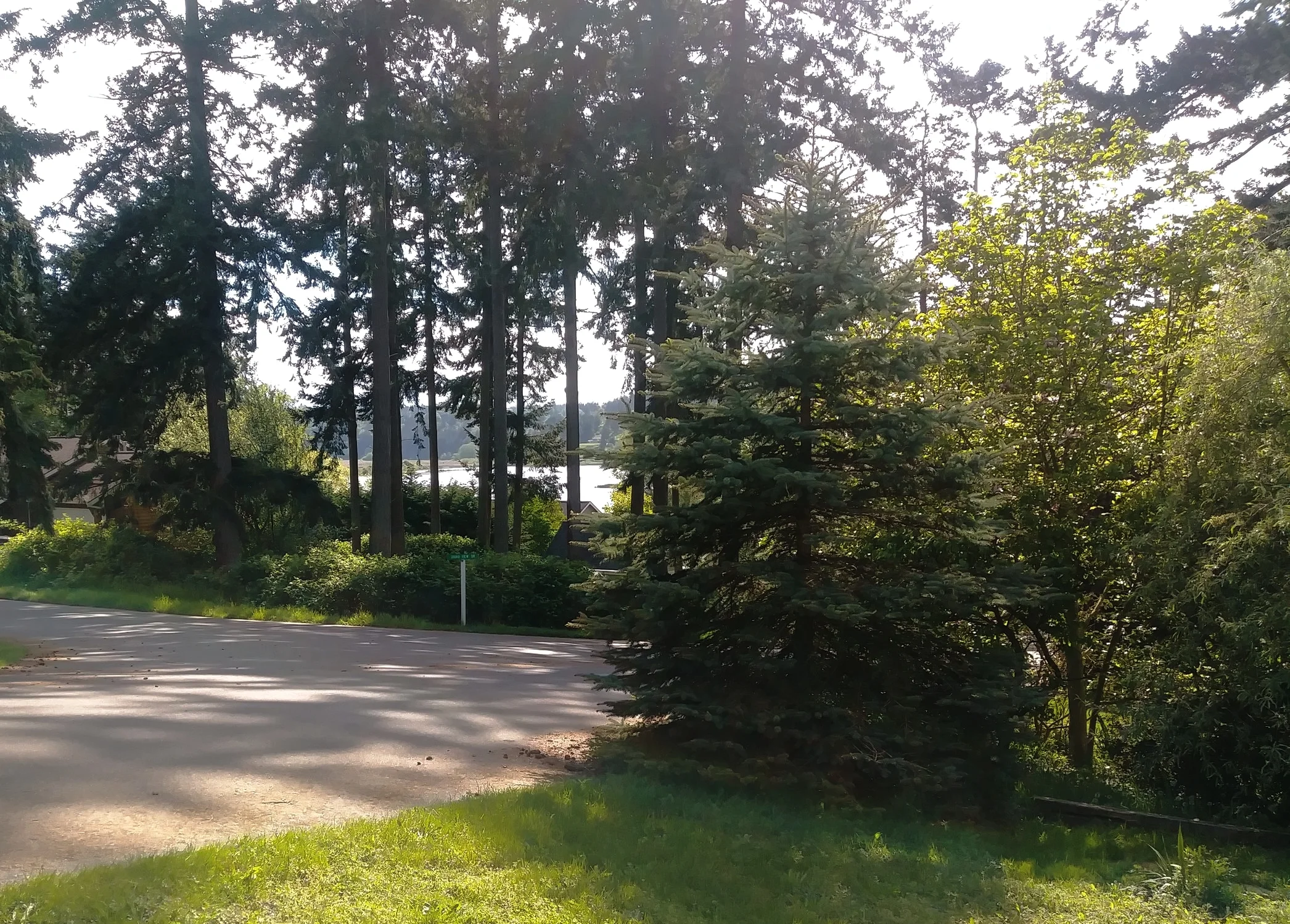 20180510_163543.jpg