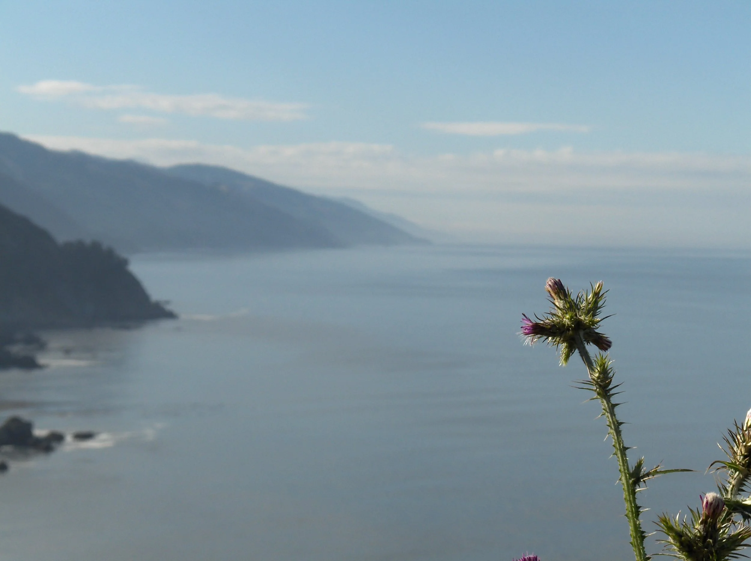 What is a Personal Wellbeing Narrative?