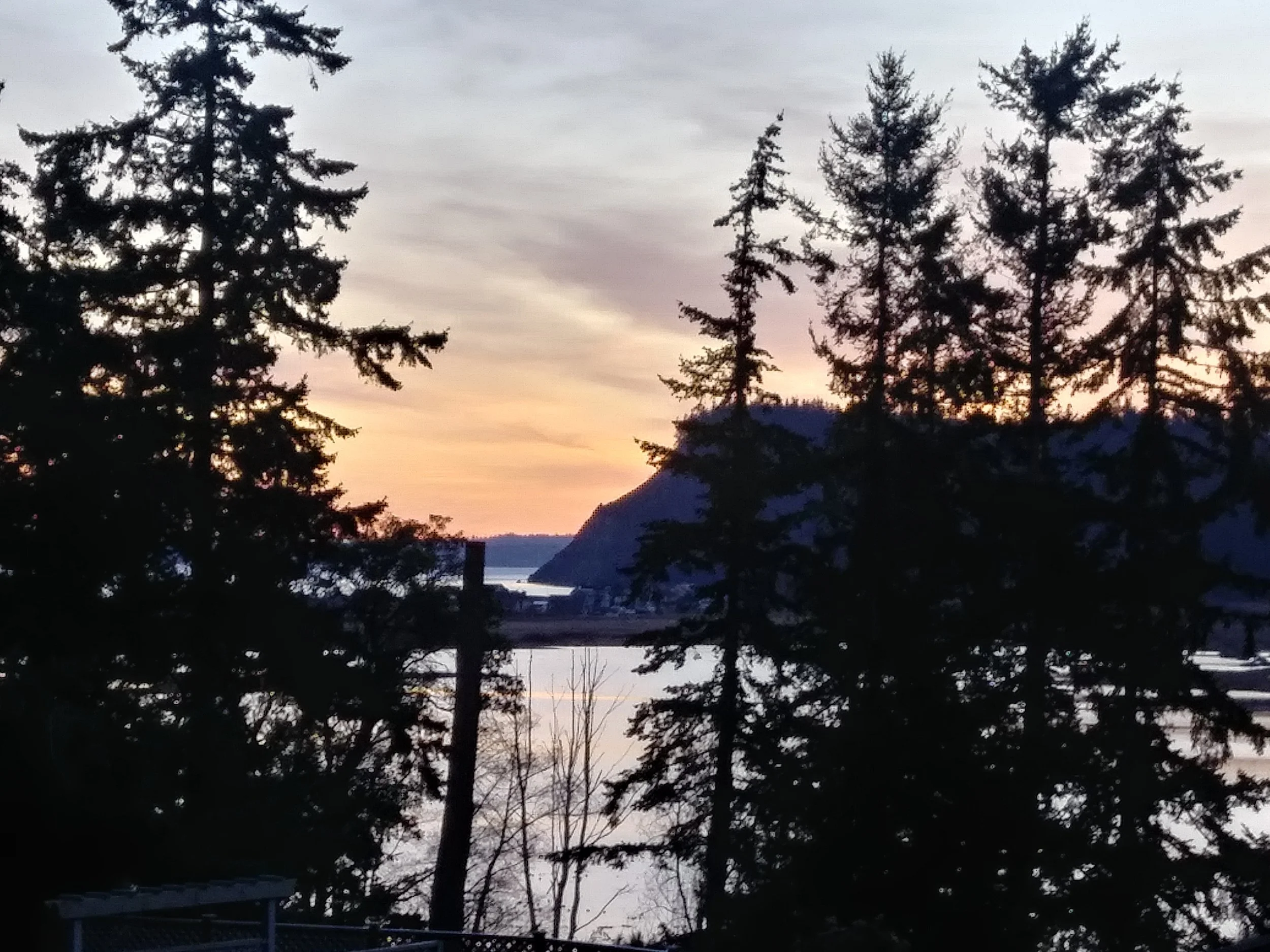neighborhood dusk.jpg