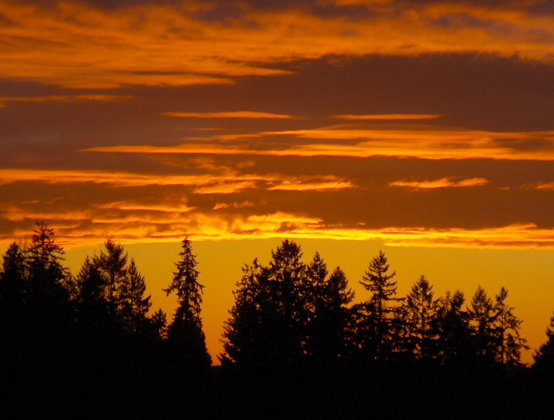 YOU decide the Fate of Humanity - Right NOW!