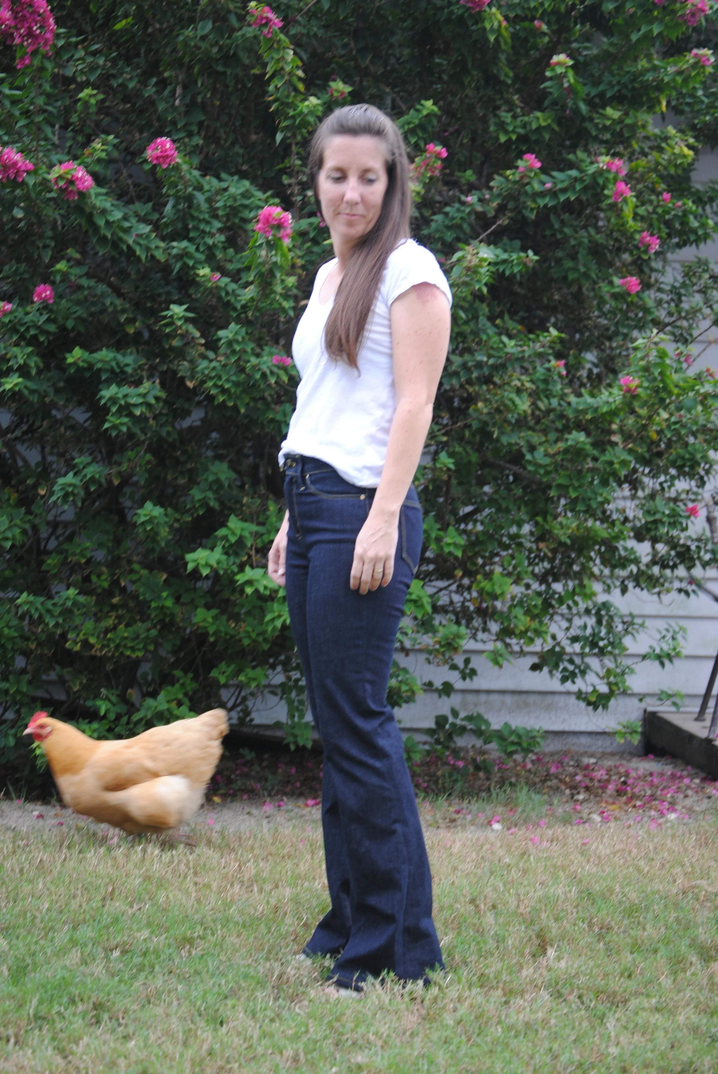 birkin flares teresa.JPG