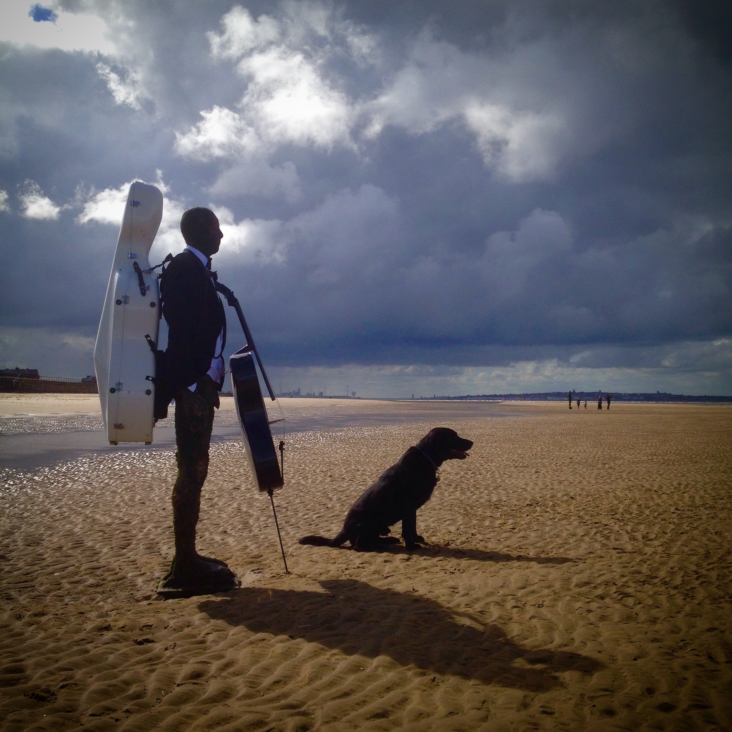 One Man and His Dog Went to Bow a Cello