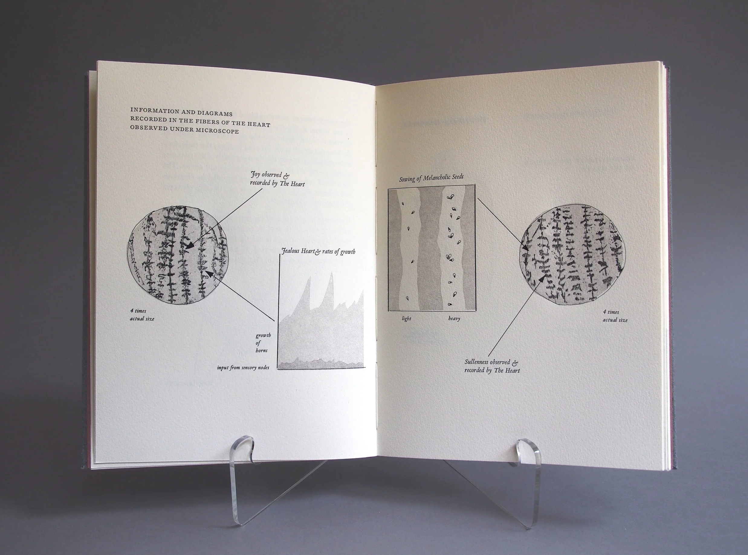 diagrams1.jpg